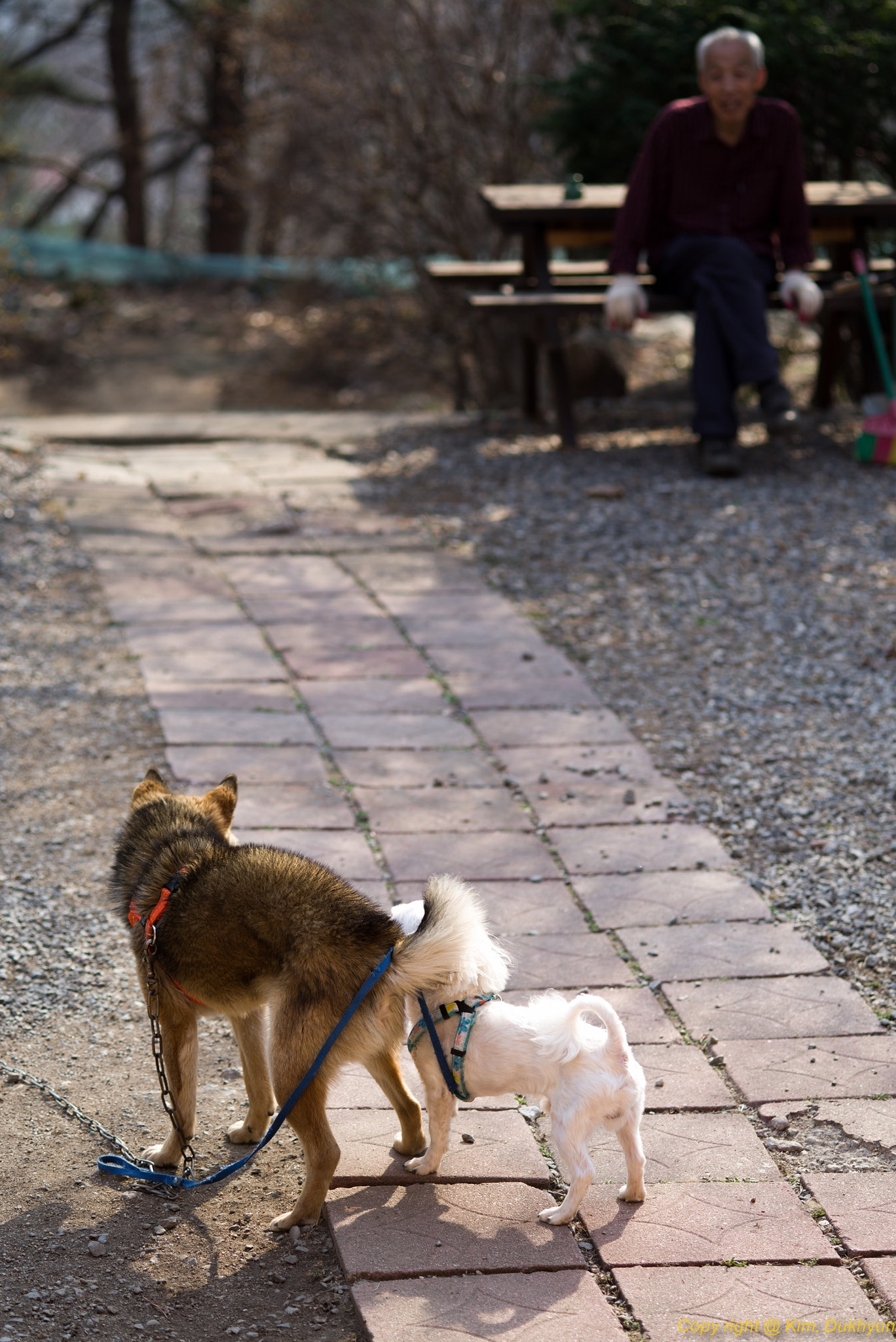 Pentax K-1 sample photo. Spring time photography