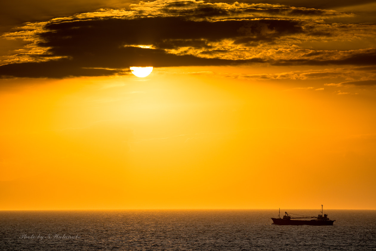 Nikon D800 sample photo. *** photography