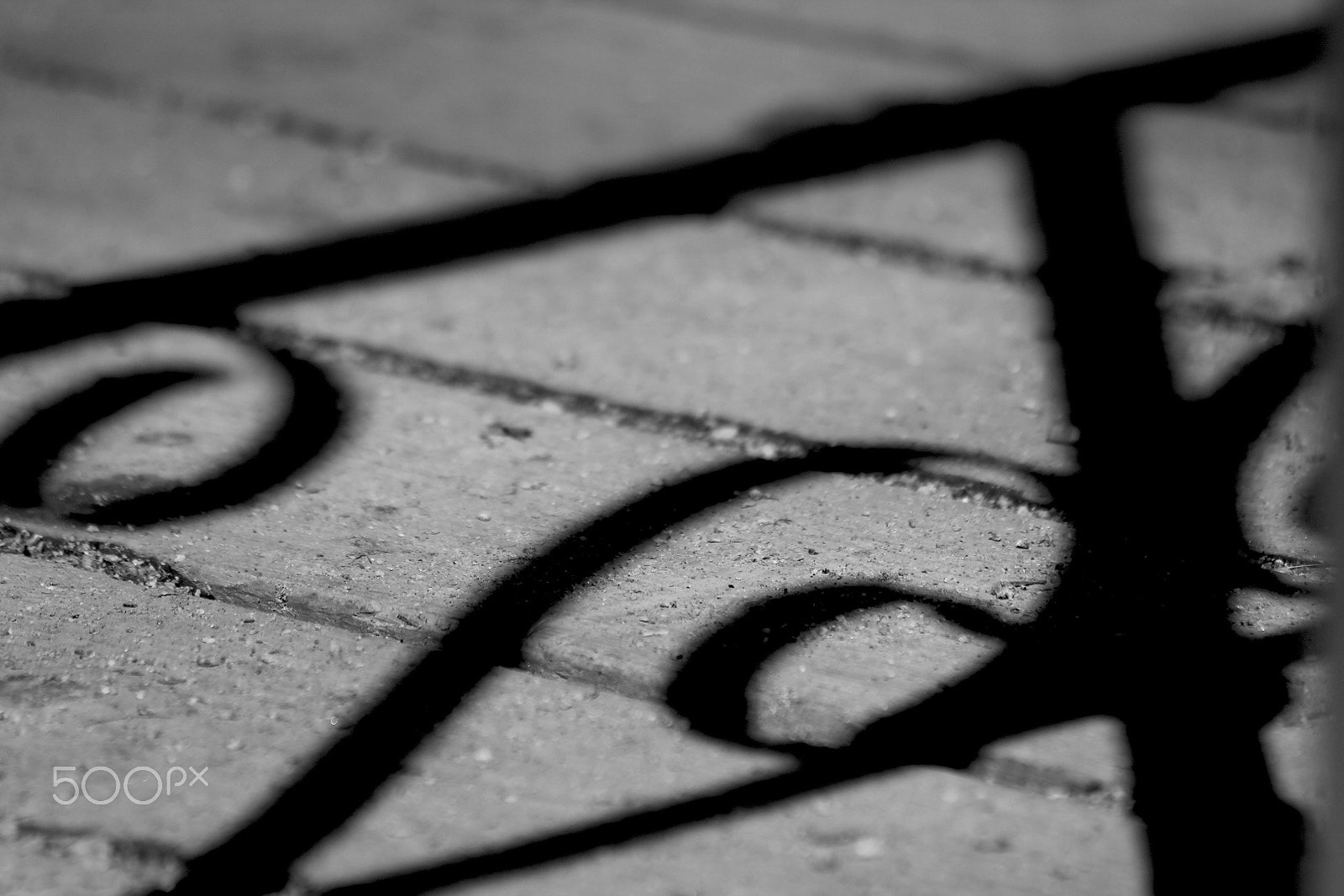 Canon EF 70-300mm F4-5.6 IS USM sample photo. Shadow photography
