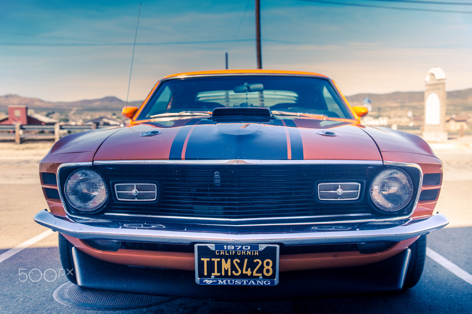 Sony SLT-A58 + Sony DT 16-50mm F2.8 SSM sample photo. Mustang photography