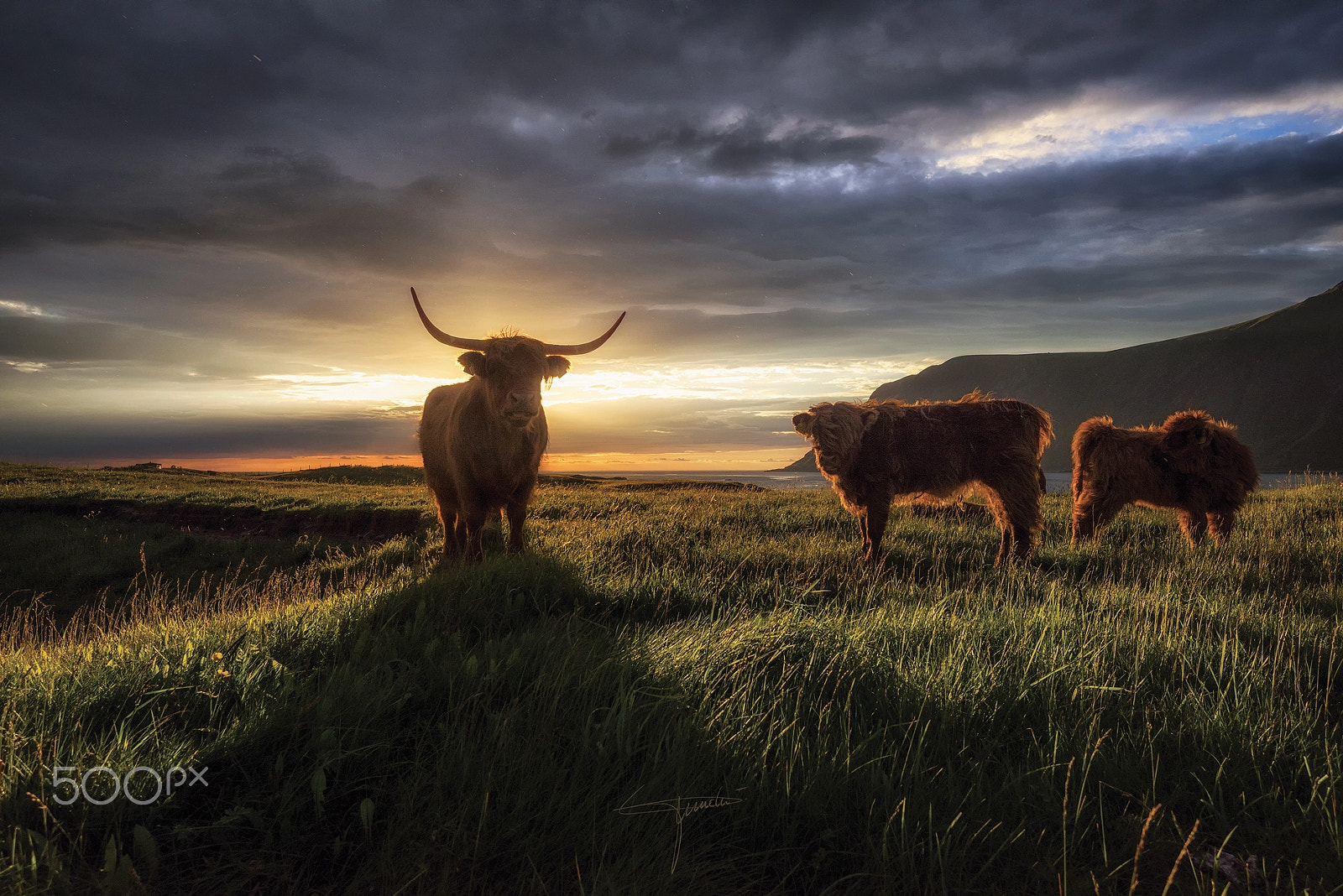 Nikon AF-S Nikkor 16-35mm F4G ED VR sample photo. Red bull photography