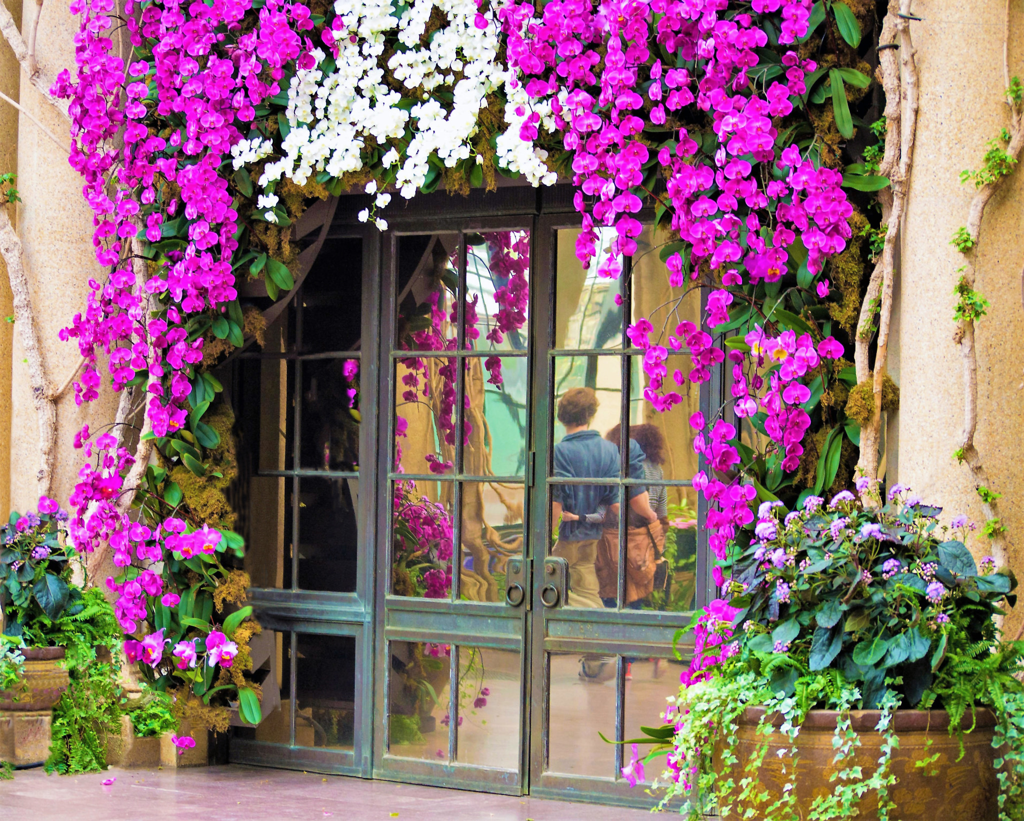 Nikon D3100 sample photo. Strolling among the orchids photography