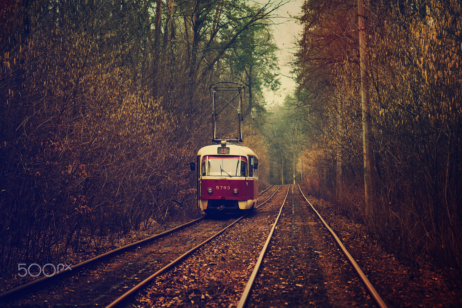 Nikon AF-S Micro-Nikkor 105mm F2.8G IF-ED VR sample photo. Vintage red tram photography