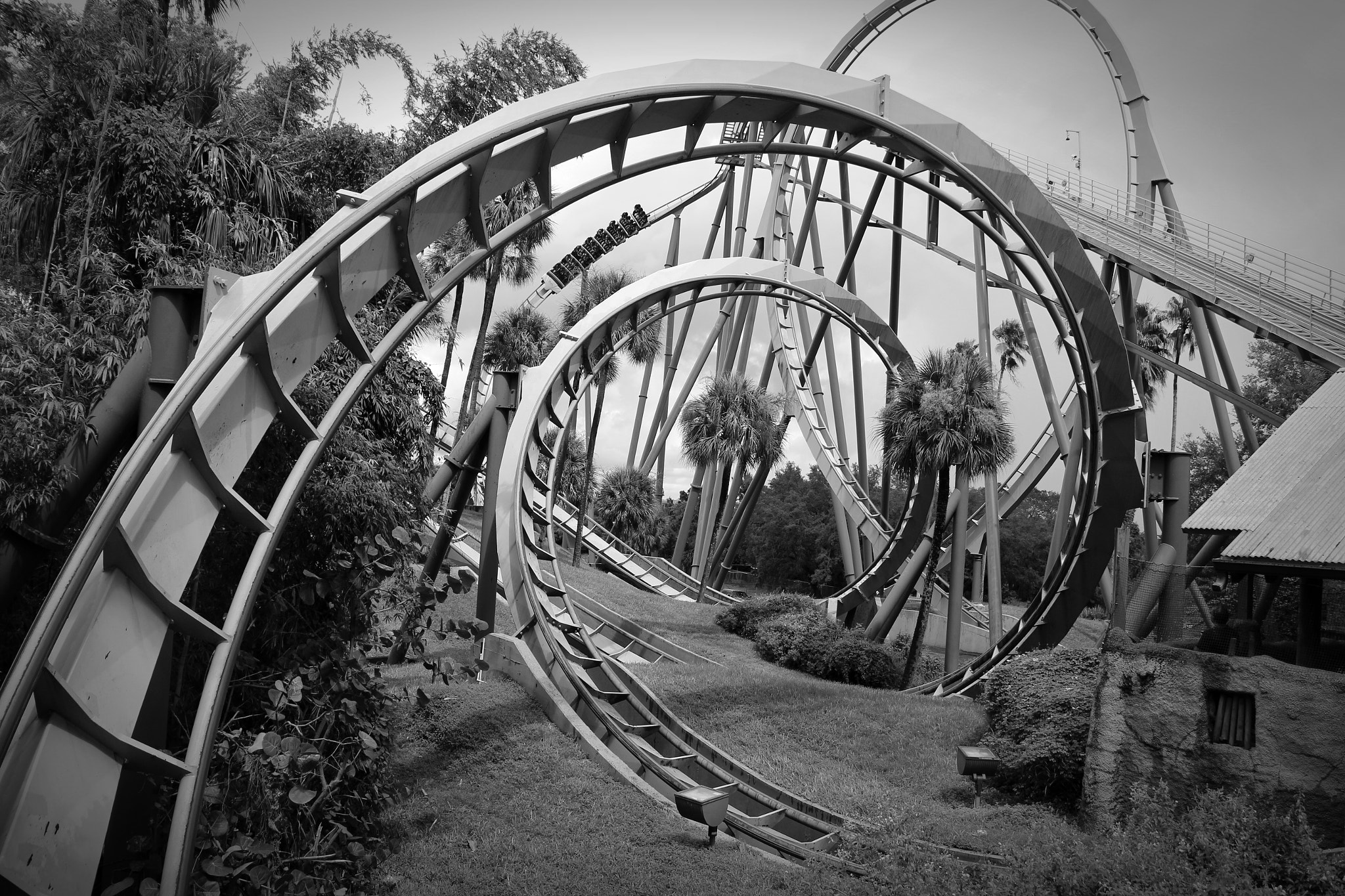 Canon EOS 700D (EOS Rebel T5i / EOS Kiss X7i) sample photo. Spiral b&w photography