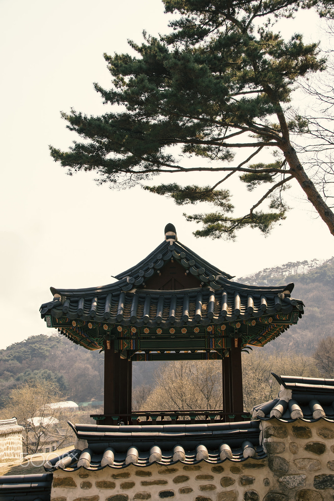 Sigma 18-250mm F3.5-6.3 DC Macro OS HSM sample photo. Voice photography