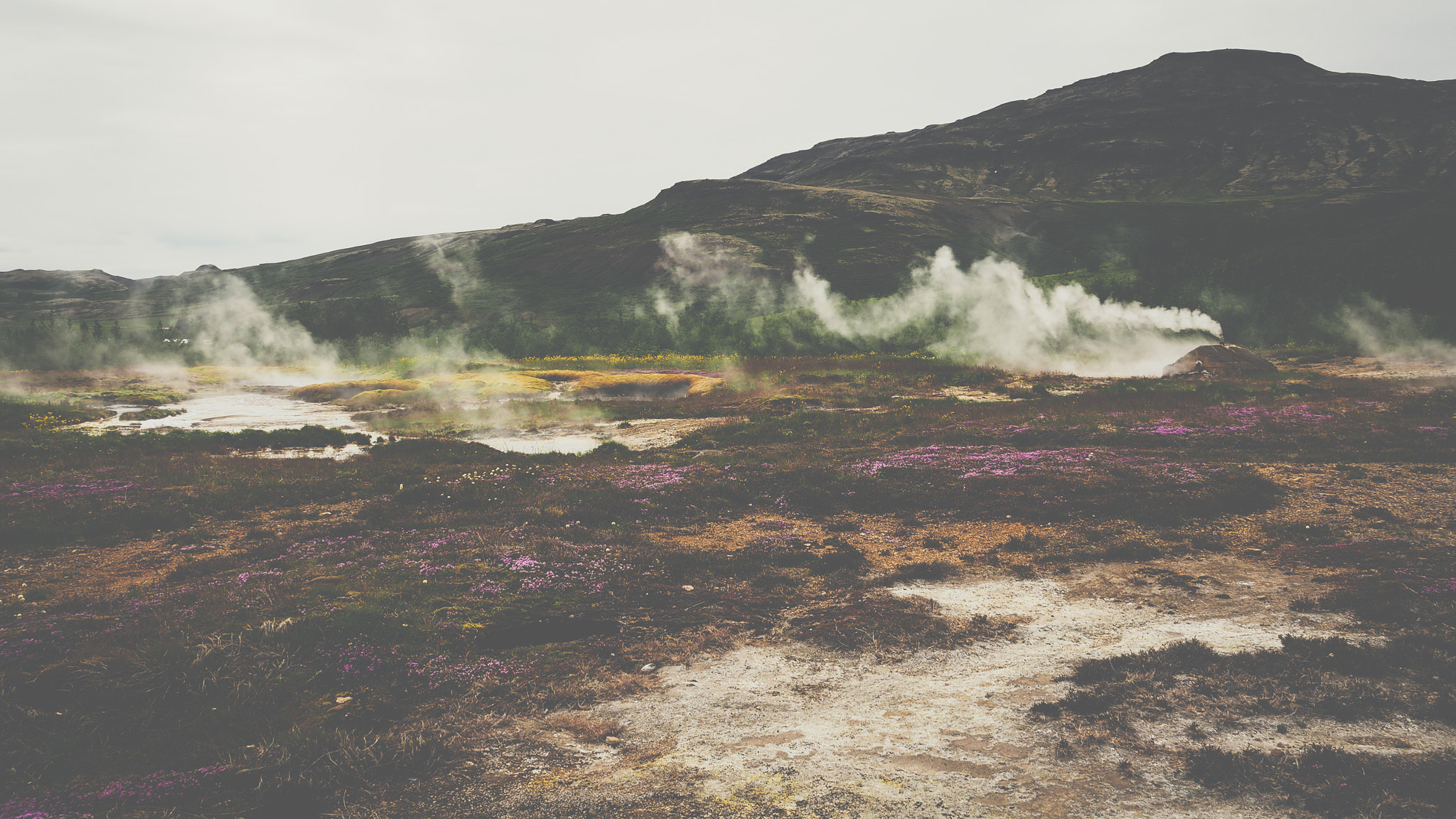 Olympus PEN E-PL7 sample photo. Geyser fields photography