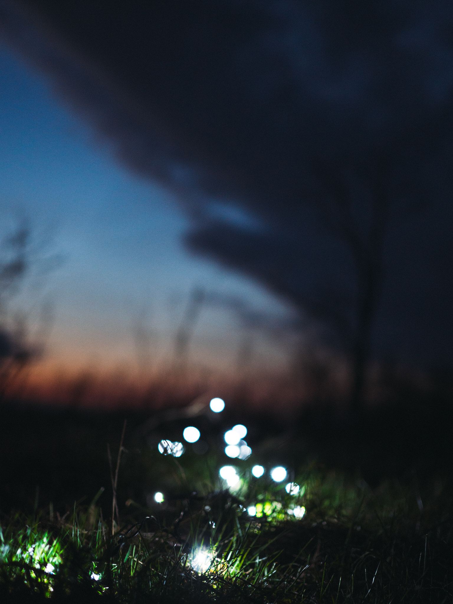 Olympus OM-D E-M10 II + Olympus M.Zuiko Digital 25mm F1.8 sample photo. Evening lights photography