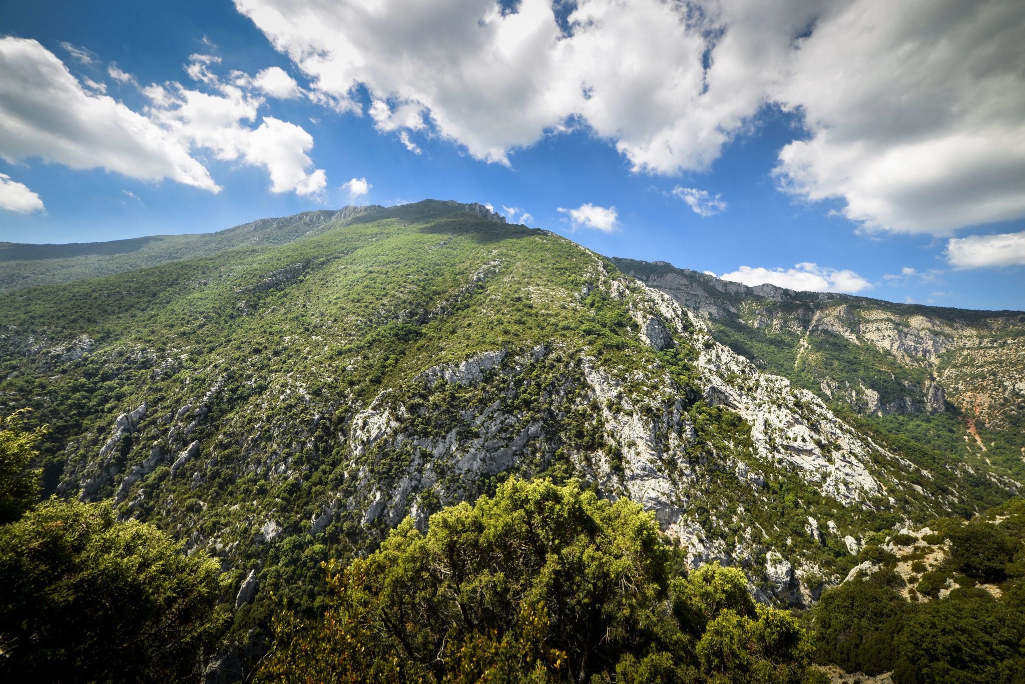 Samyang 14mm F2.8 ED AS IF UMC sample photo. Verdon's gorges, france  ii photography