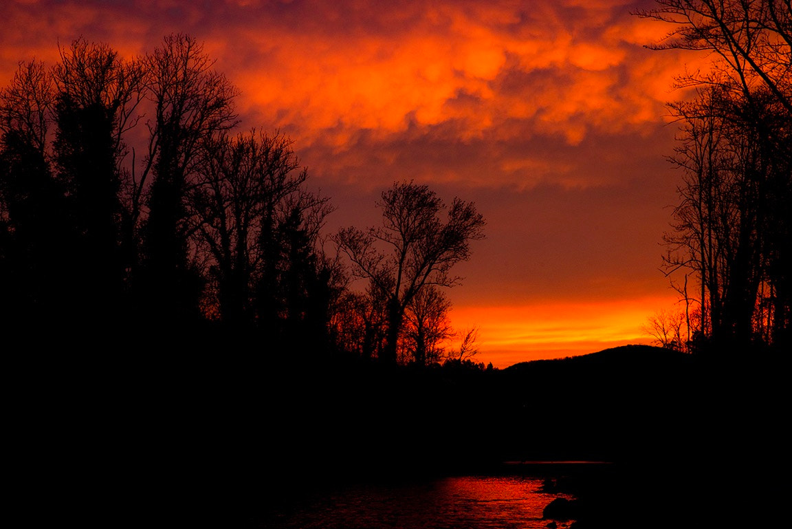 Nikon D800 sample photo. Sonnenaufgang an der aare rupperswil photography