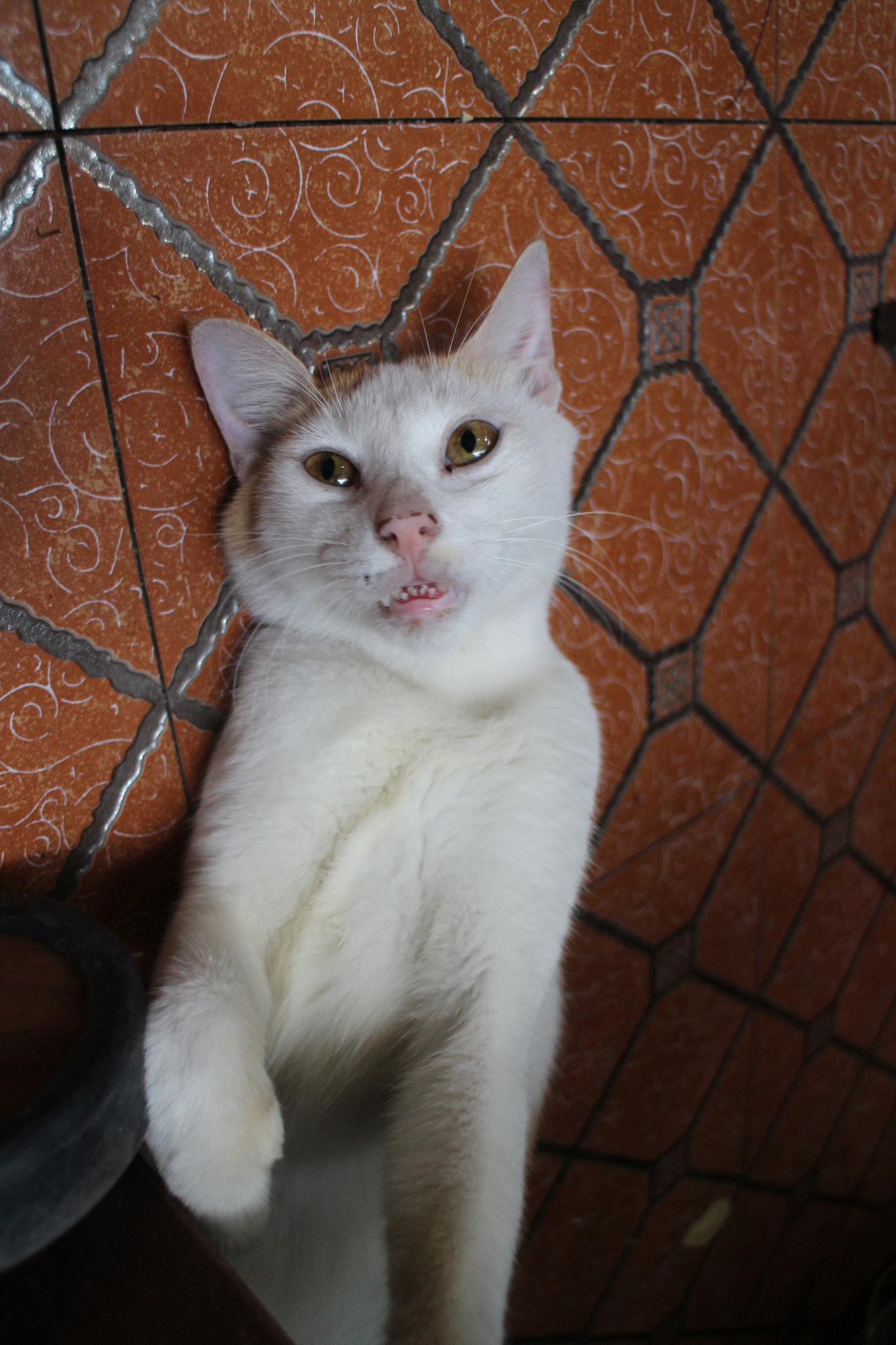 Canon EOS M2 sample photo. Img photography