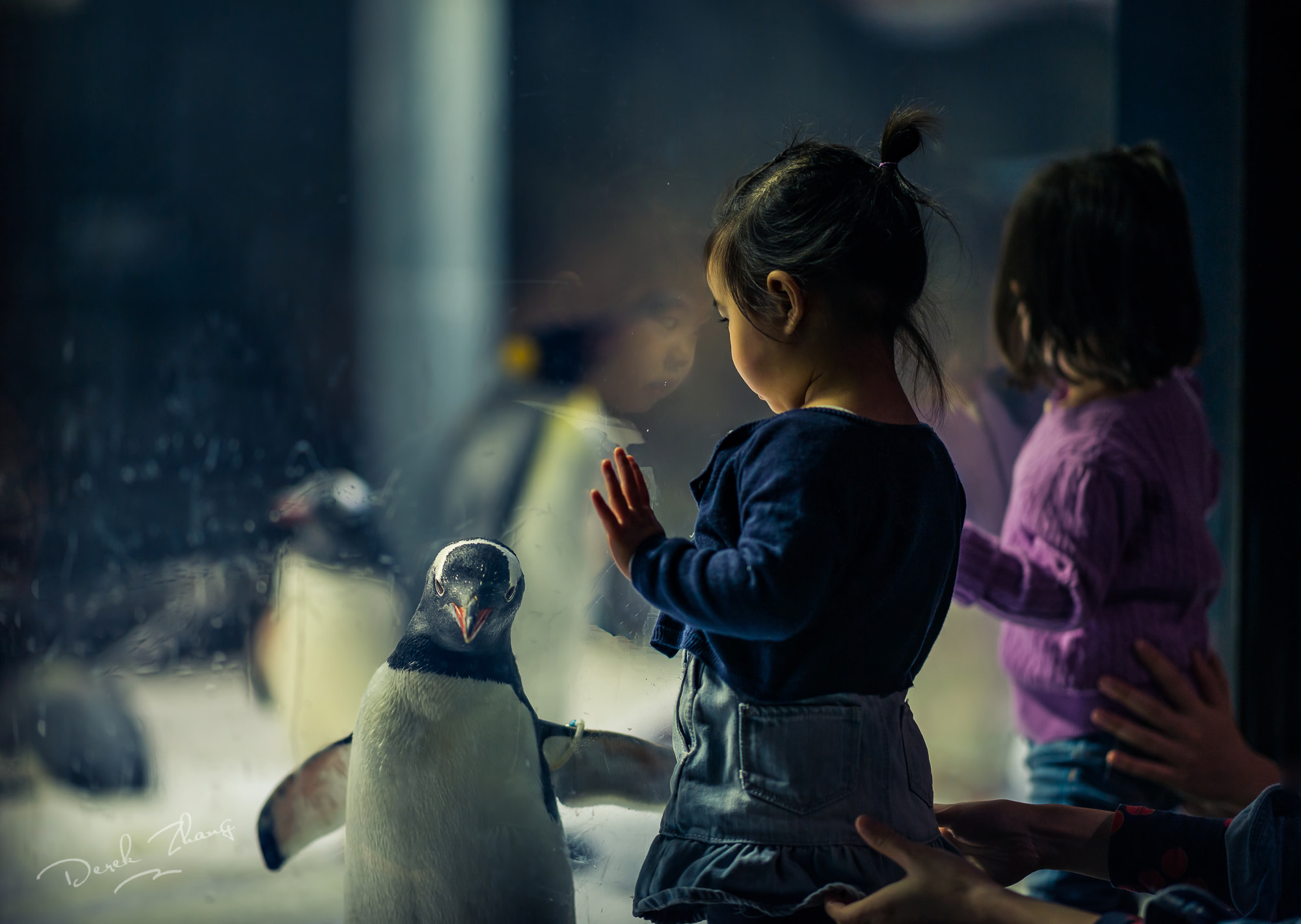 Nikon D800E + Nikon AF-S Nikkor 35mm F1.8G ED sample photo. Happy feet photography