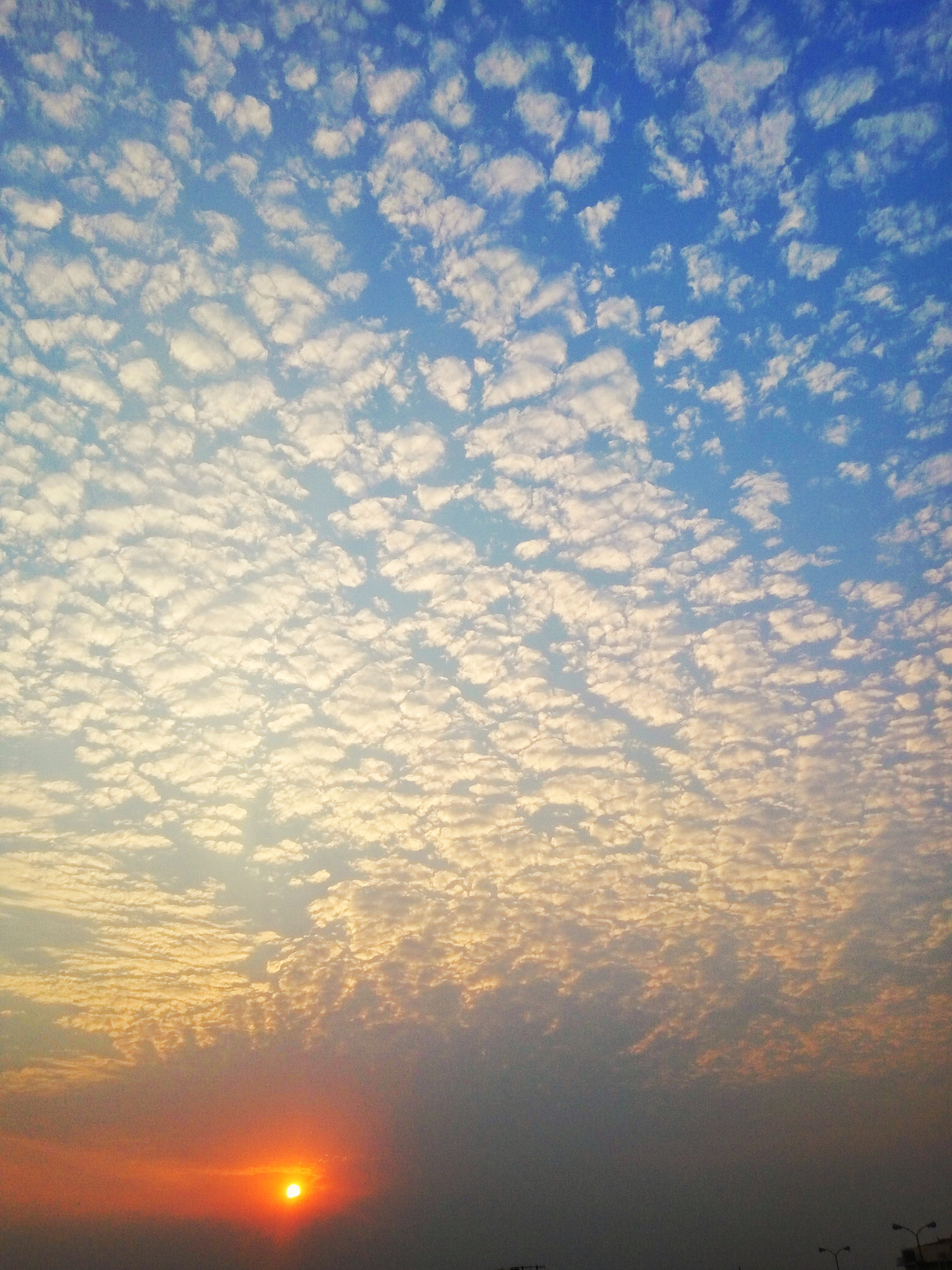 Xiaomi HM Note 2 sample photo