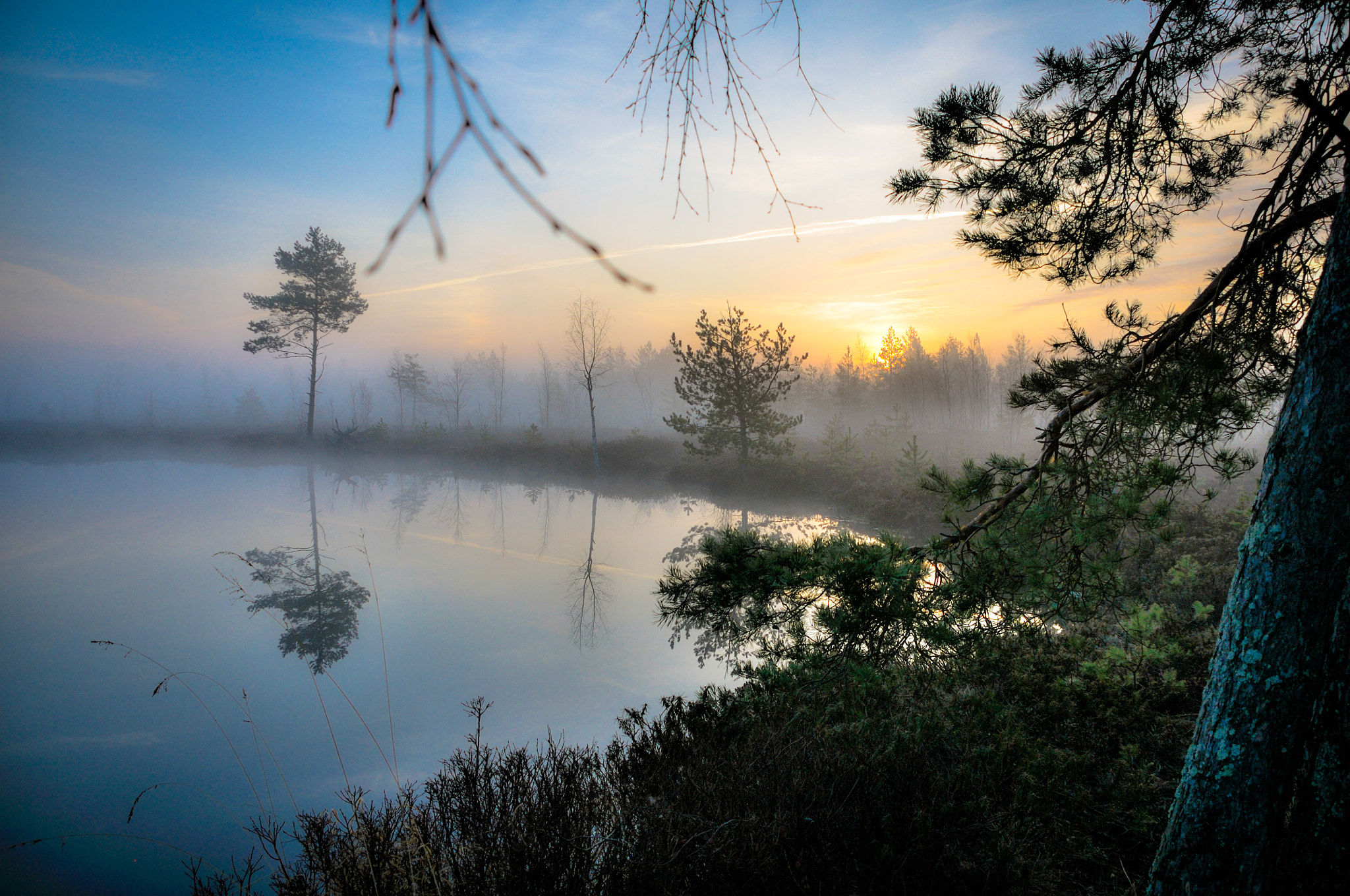 Nikon D300 sample photo. Foggy dawn photography