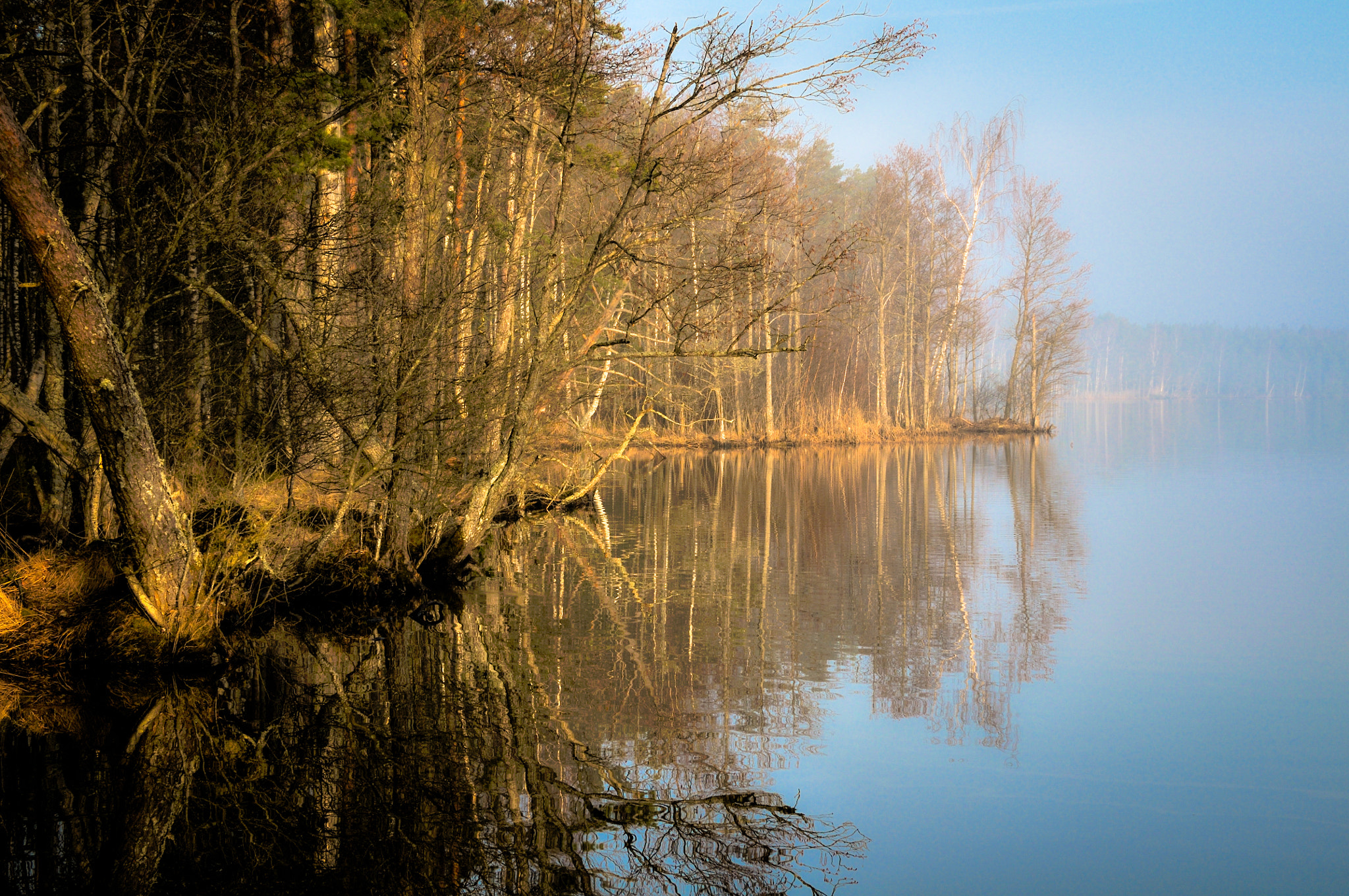 Nikon D300 sample photo. Foggy dawn photography