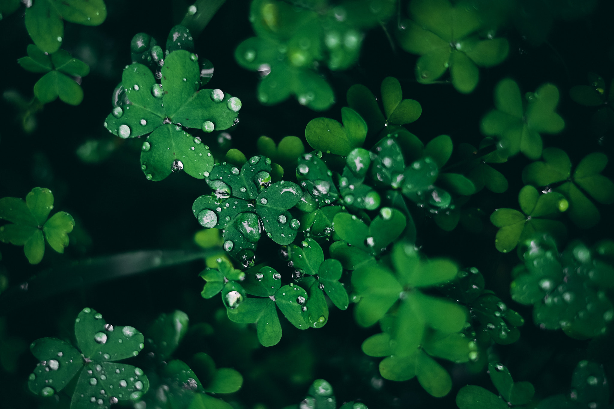 Fujifilm X-E2 + Fujifilm XF 35mm F1.4 R sample photo. Emerald isles photography