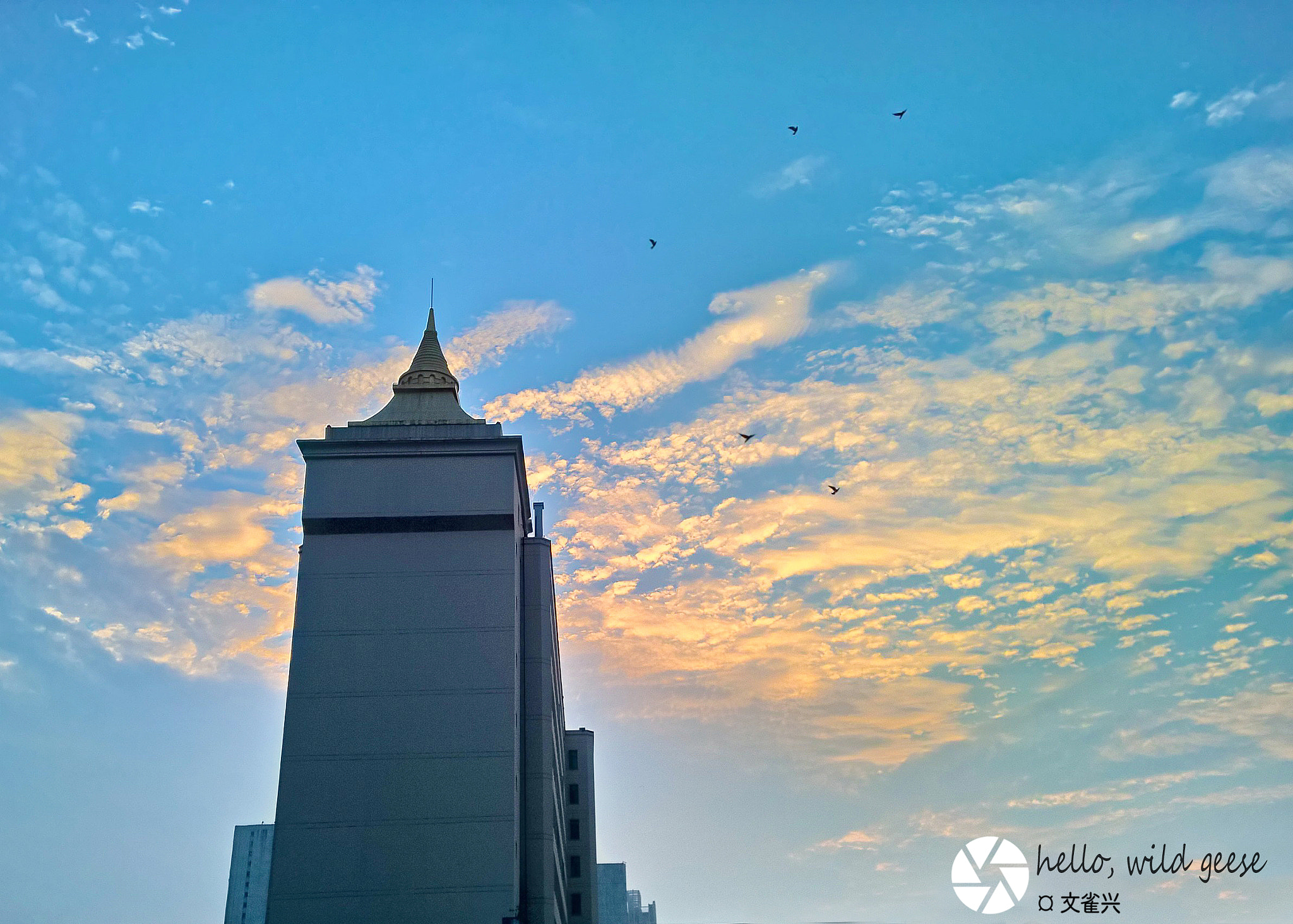 Nokia Lumia 1520 sample photo. Hello, wild geese photography
