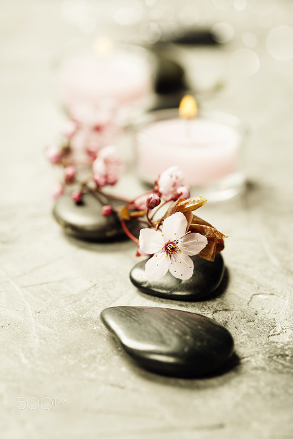 Canon EF 100mm F2.8 Macro USM sample photo. Spa setting photography
