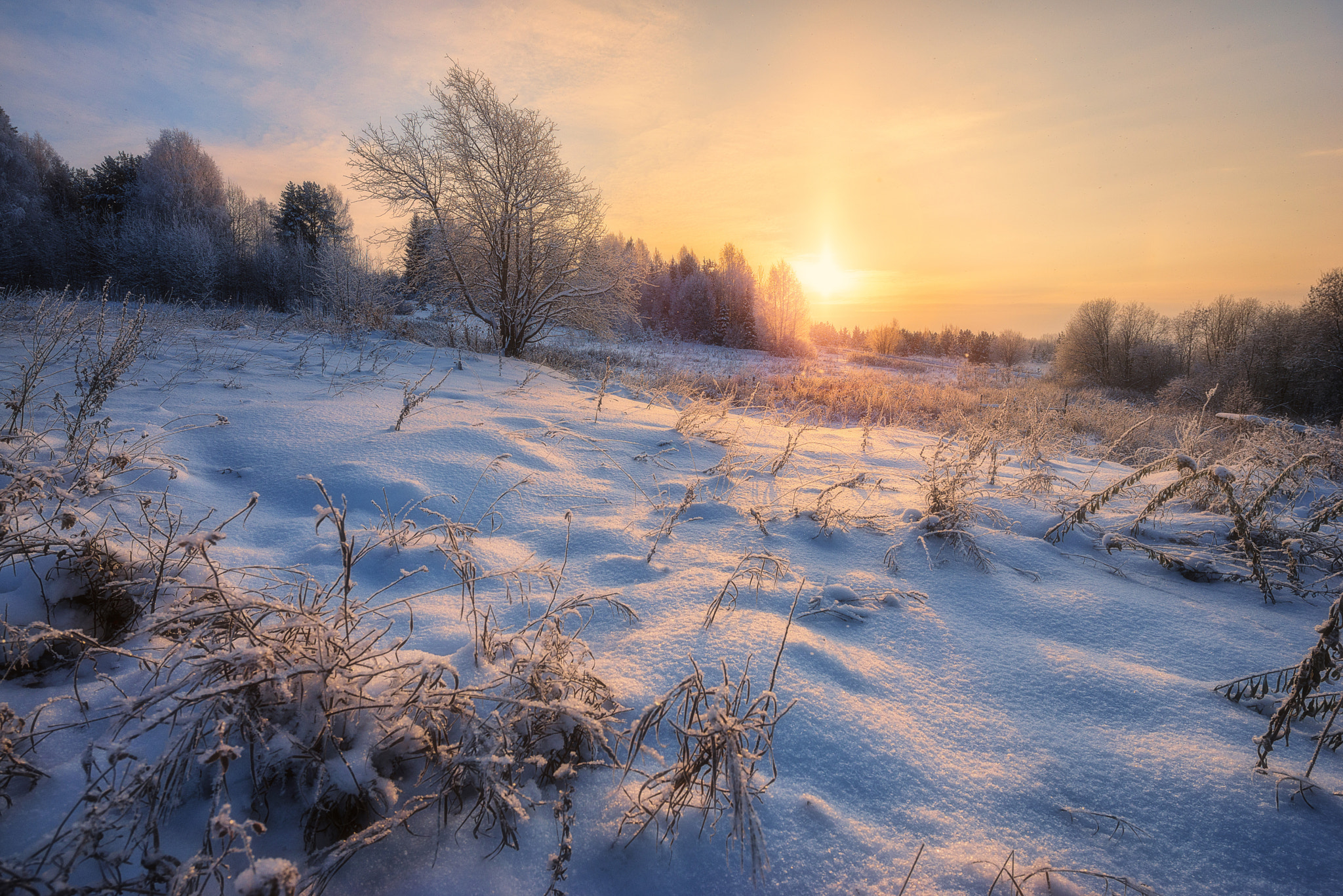 Nikon D610 + Nikon AF-S Nikkor 14-24mm F2.8G ED sample photo. 607. winter in the village ii photography