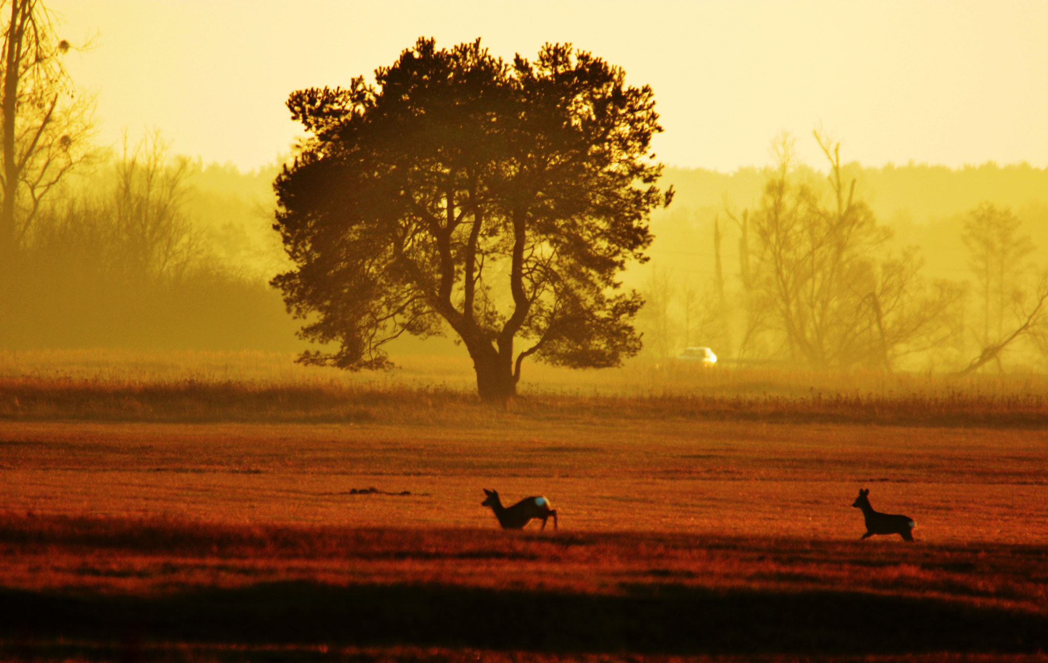 Nikon D7100 sample photo. Lad zachod photography