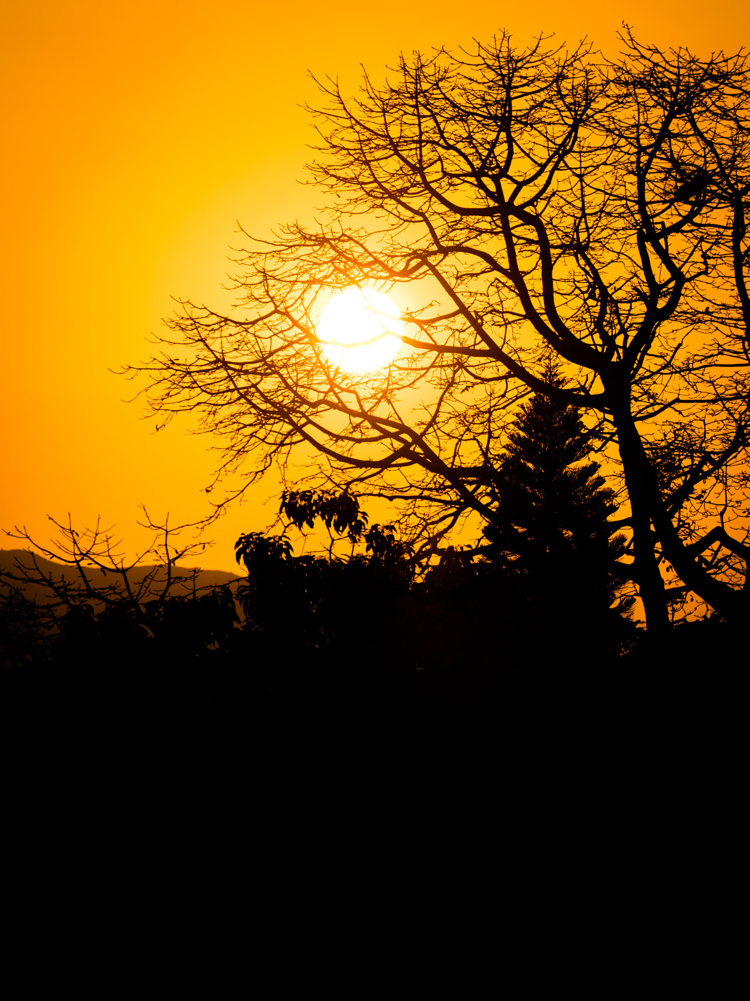 Canon EOS 5DS R sample photo. View from the rooftop photography