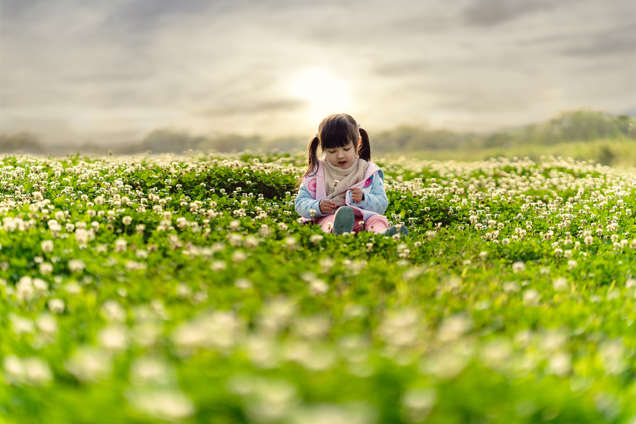 Sony a7R II + ZEISS Batis 85mm F1.8 sample photo. Playing around in the farm photography