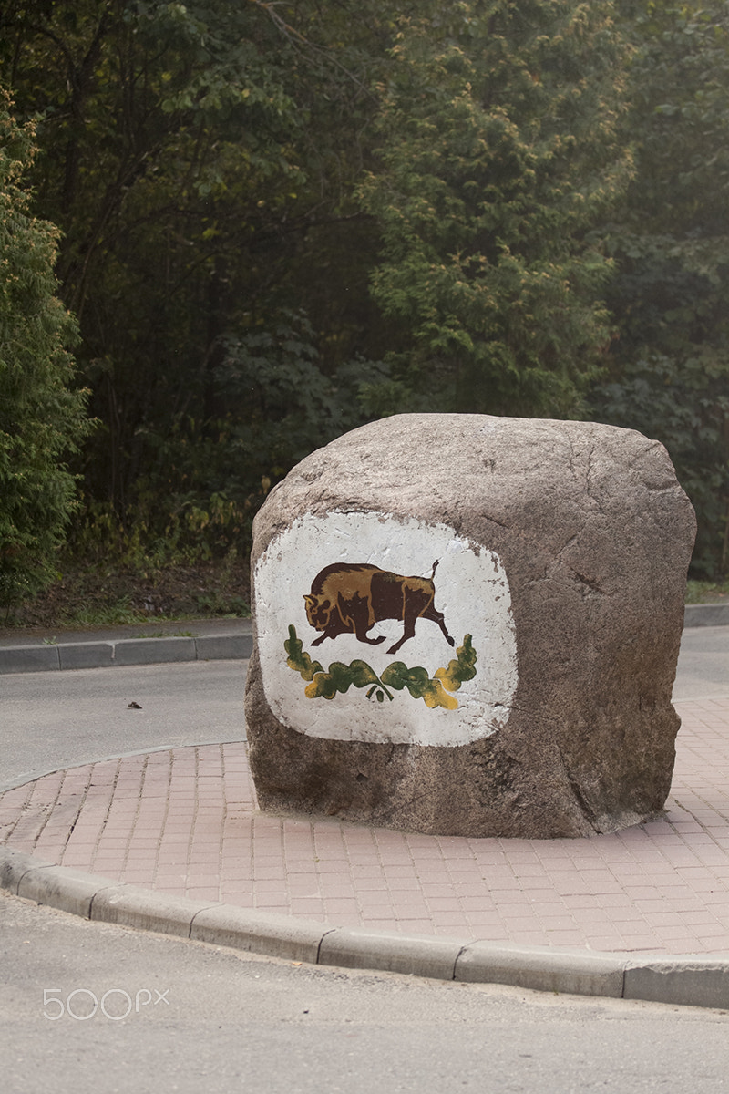 Canon EF-S 60mm F2.8 Macro USM sample photo. Bialowieza forest photography