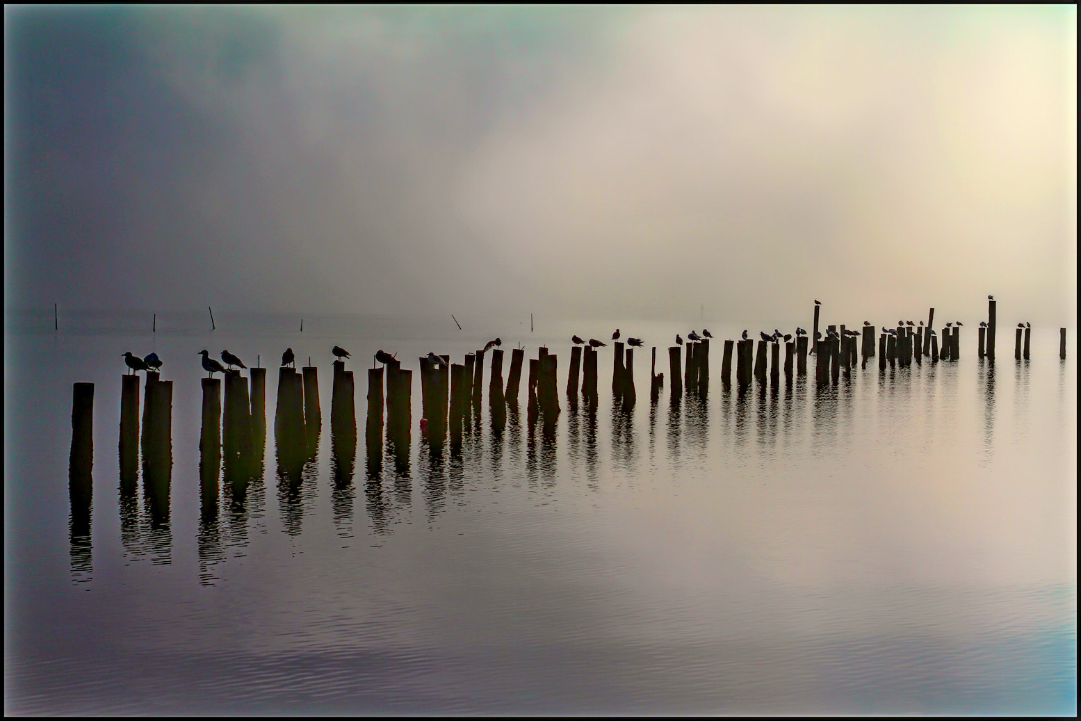 Canon EF 28-135mm F3.5-5.6 IS USM sample photo. And the fog rolled in photography
