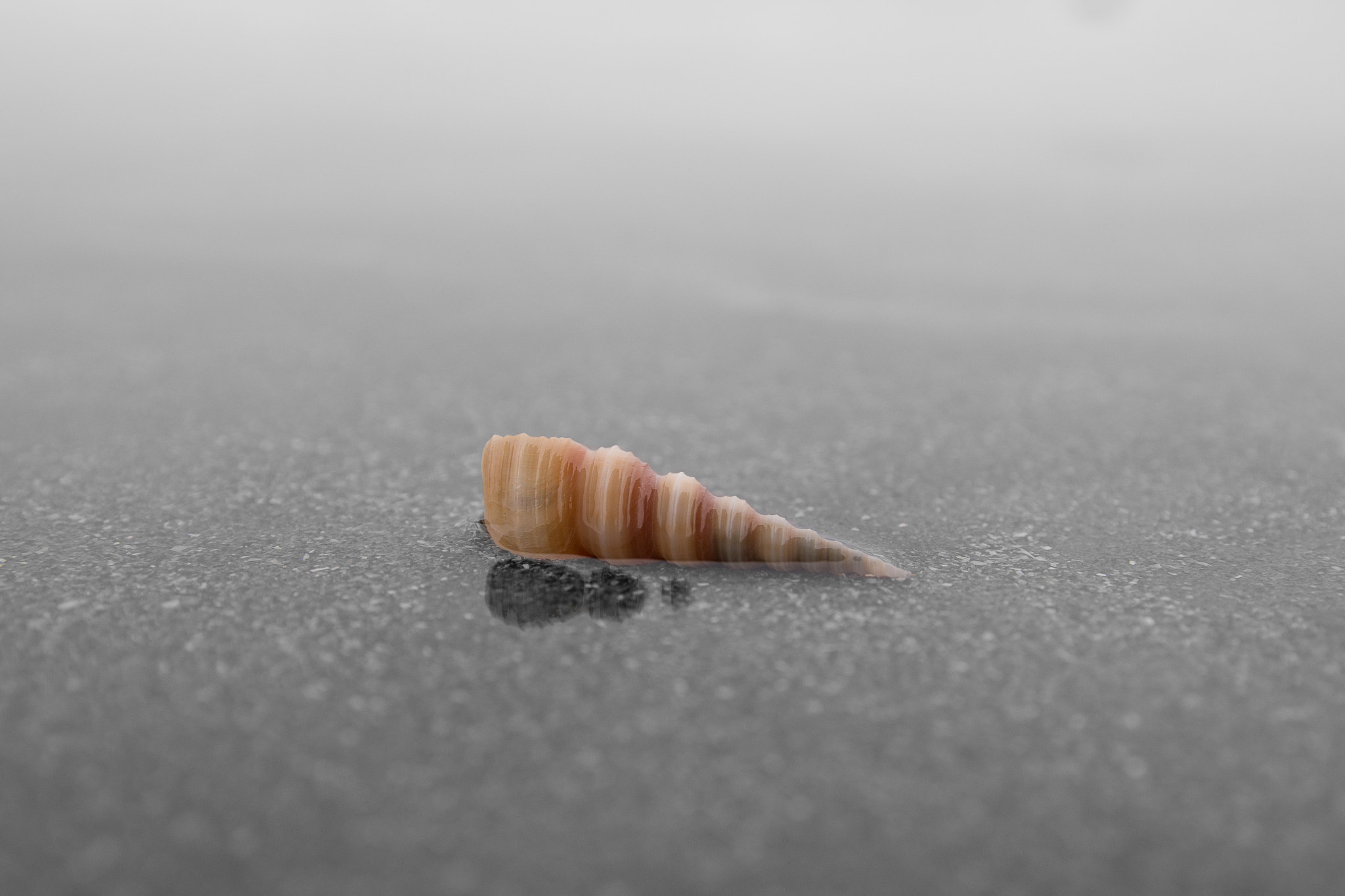 Canon EF-S 17-55mm F2.8 IS USM sample photo. Alone on the beach part 3 photography