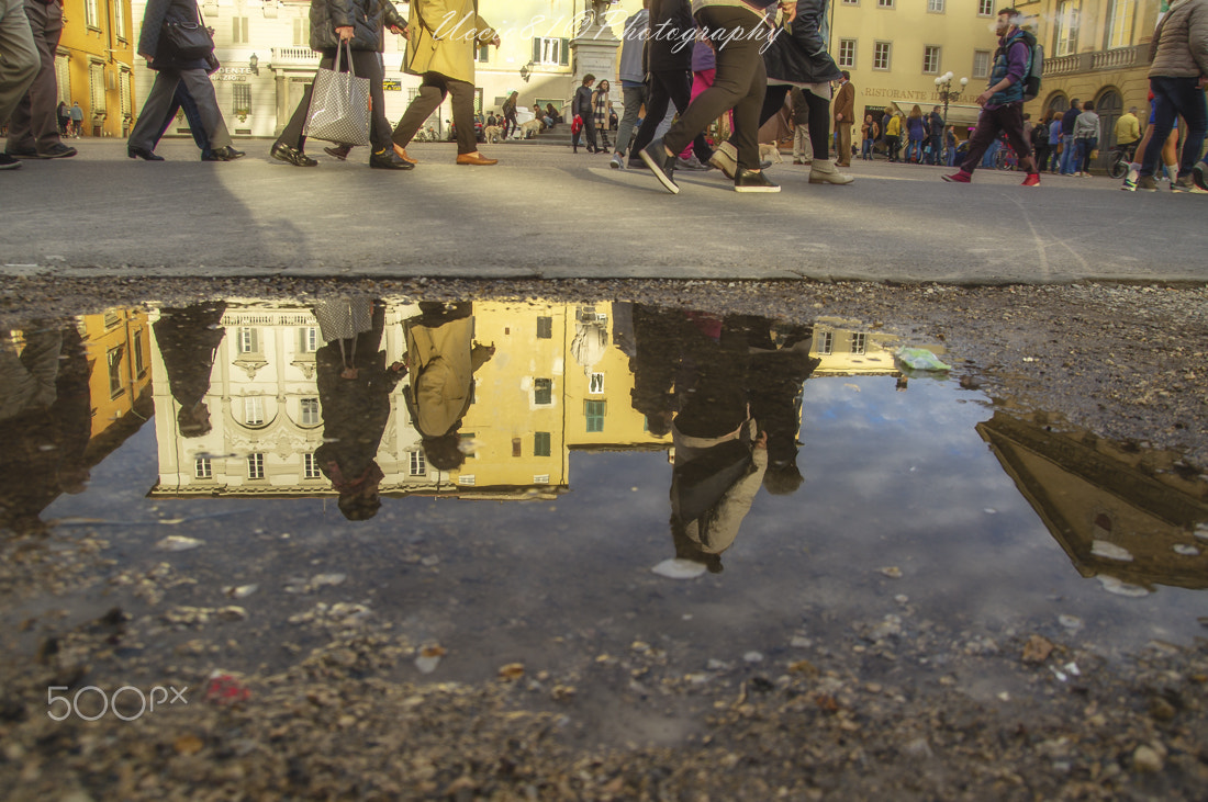 Sony Alpha DSLR-A580 sample photo. Upside down - lucca photography