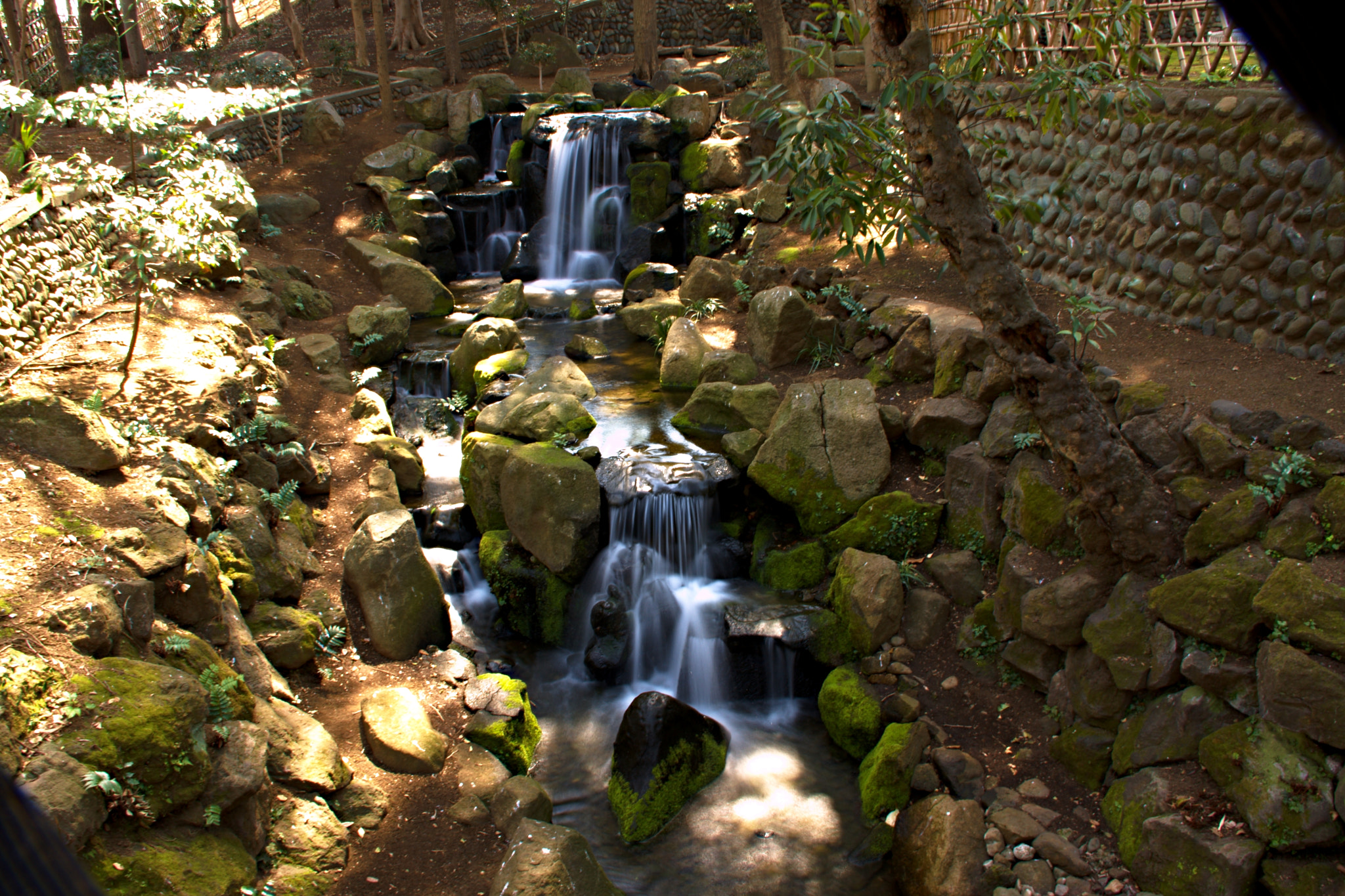 Canon EOS 40D sample photo. Tokyo's oasis togoshi park  (戸越公園) photography