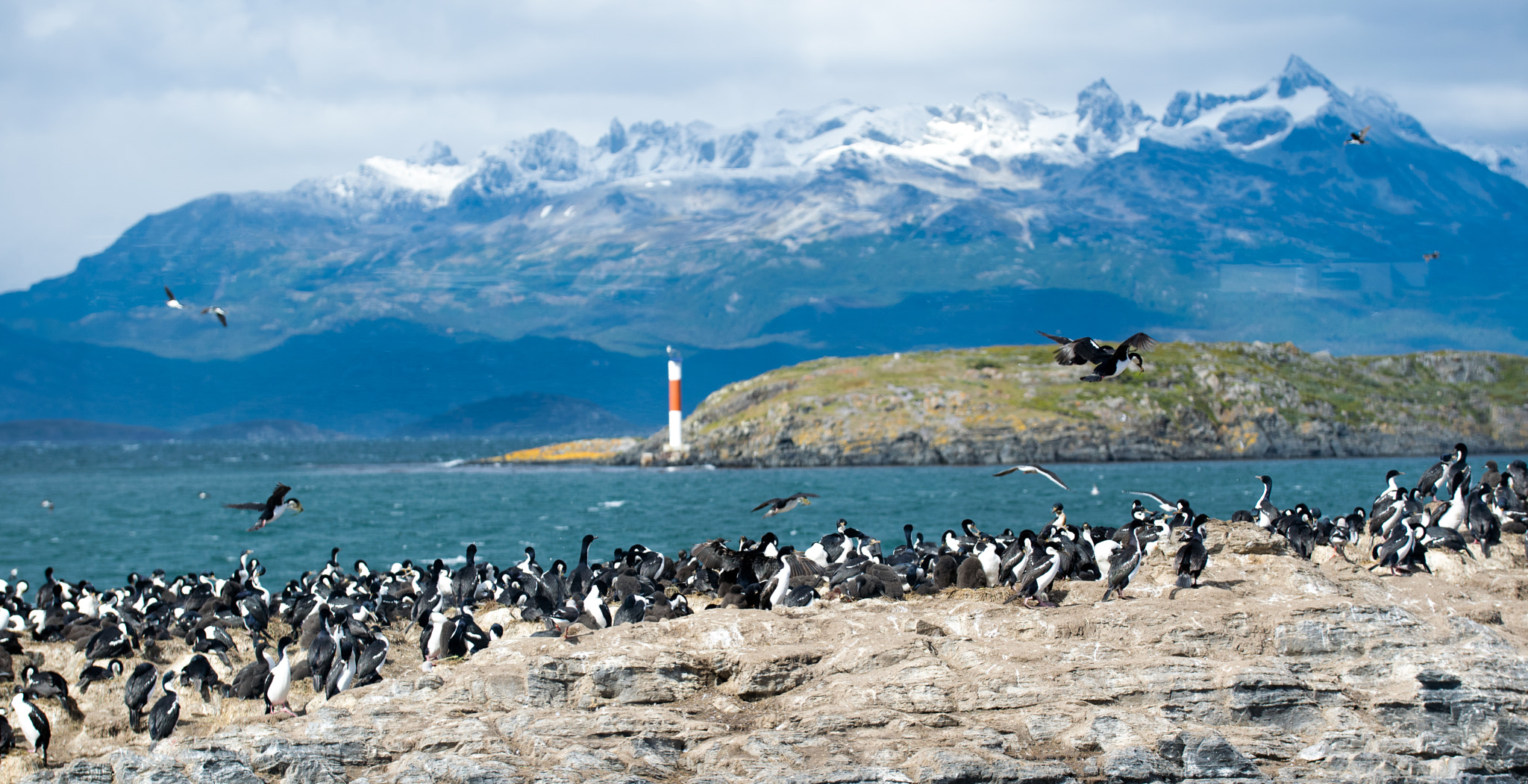 Sigma 50-100mm F1.8 DC HSM Art sample photo. Beagle channel photography