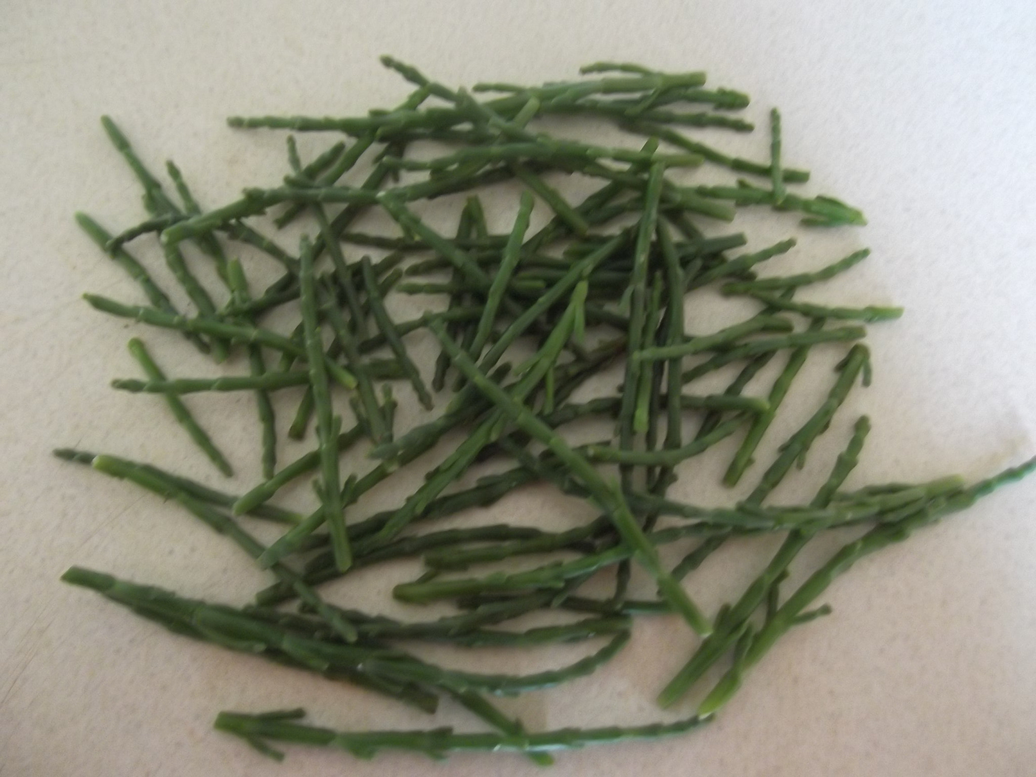 Fujifilm FinePix T350 sample photo. Samphire vegetable photography