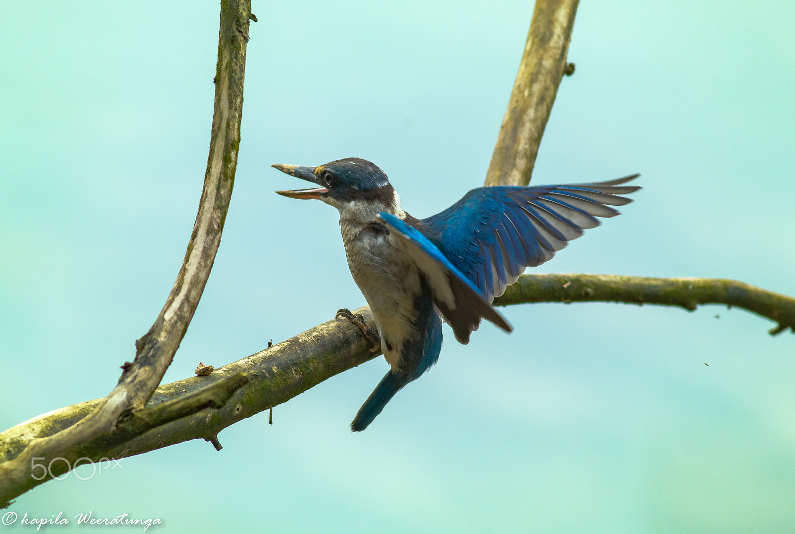 Canon EF 400mm F5.6L USM sample photo