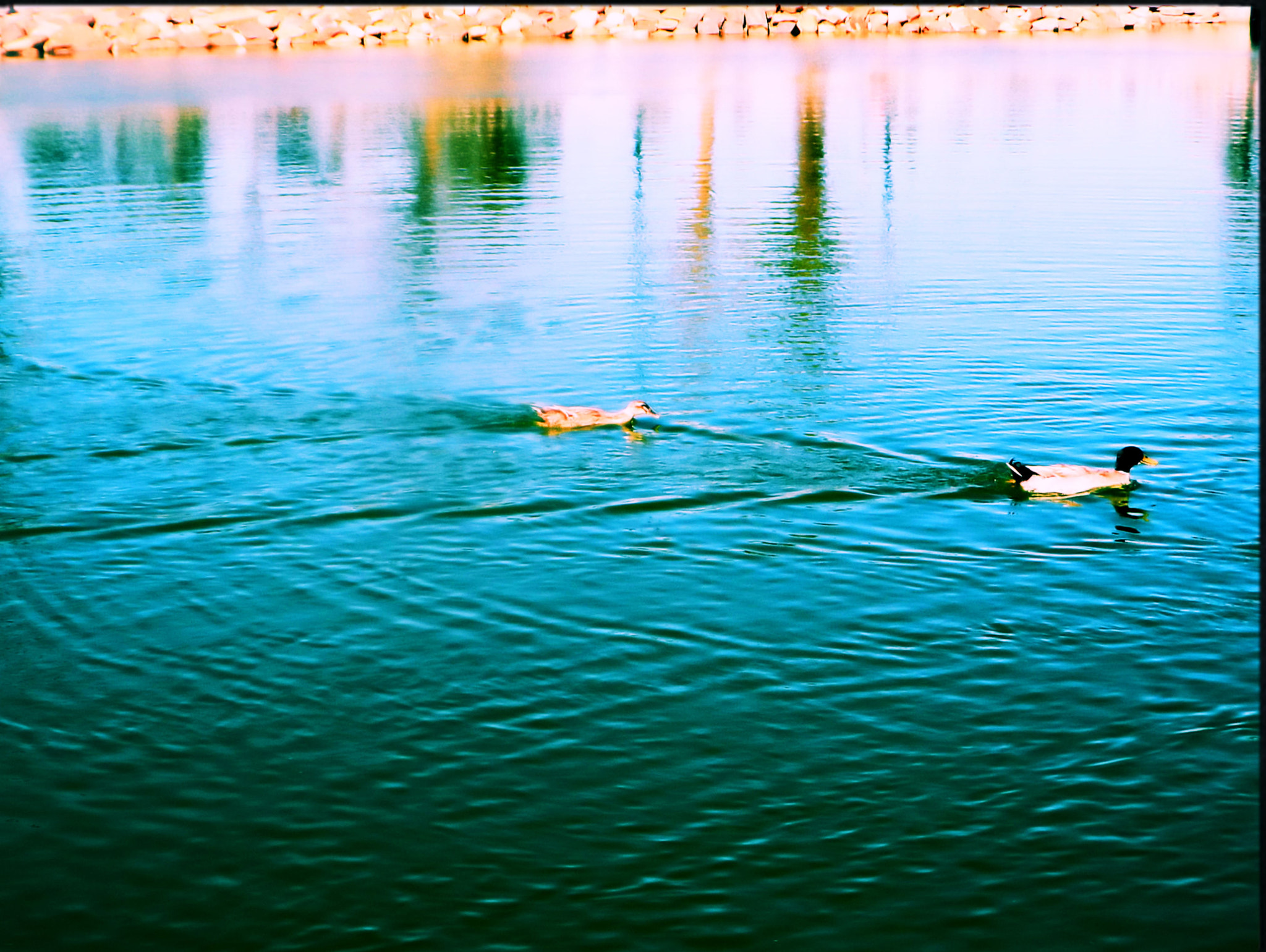 Samsung WB150 / WB150F / WB152 / WB152F / WB151 / WB151F / WB140 sample photo. Nature photography