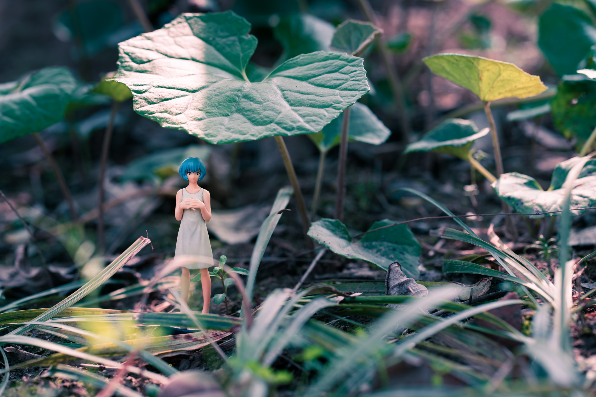 ZEISS Batis 85mm F1.8 sample photo. Take a walk with ayanami rei photography