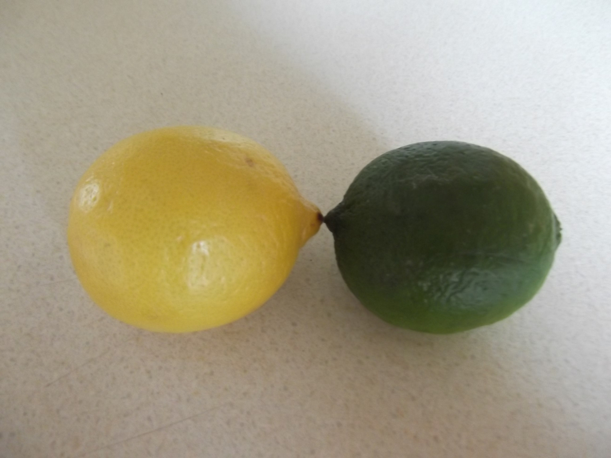 Fujifilm FinePix T350 sample photo. Lemon and lime photography