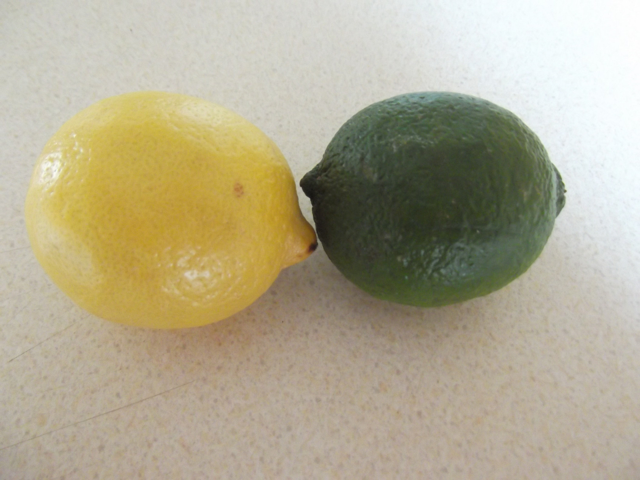 Fujifilm FinePix T350 sample photo. Lemon and lime photography