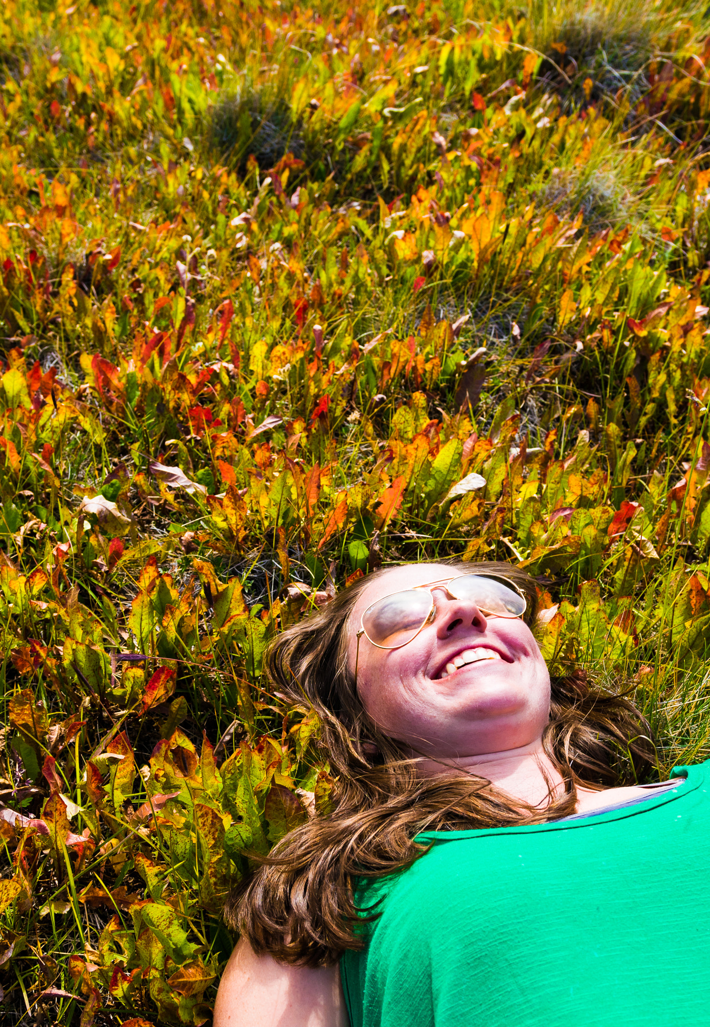 Nikon D5300 sample photo. Laying down on the colorful grass photography