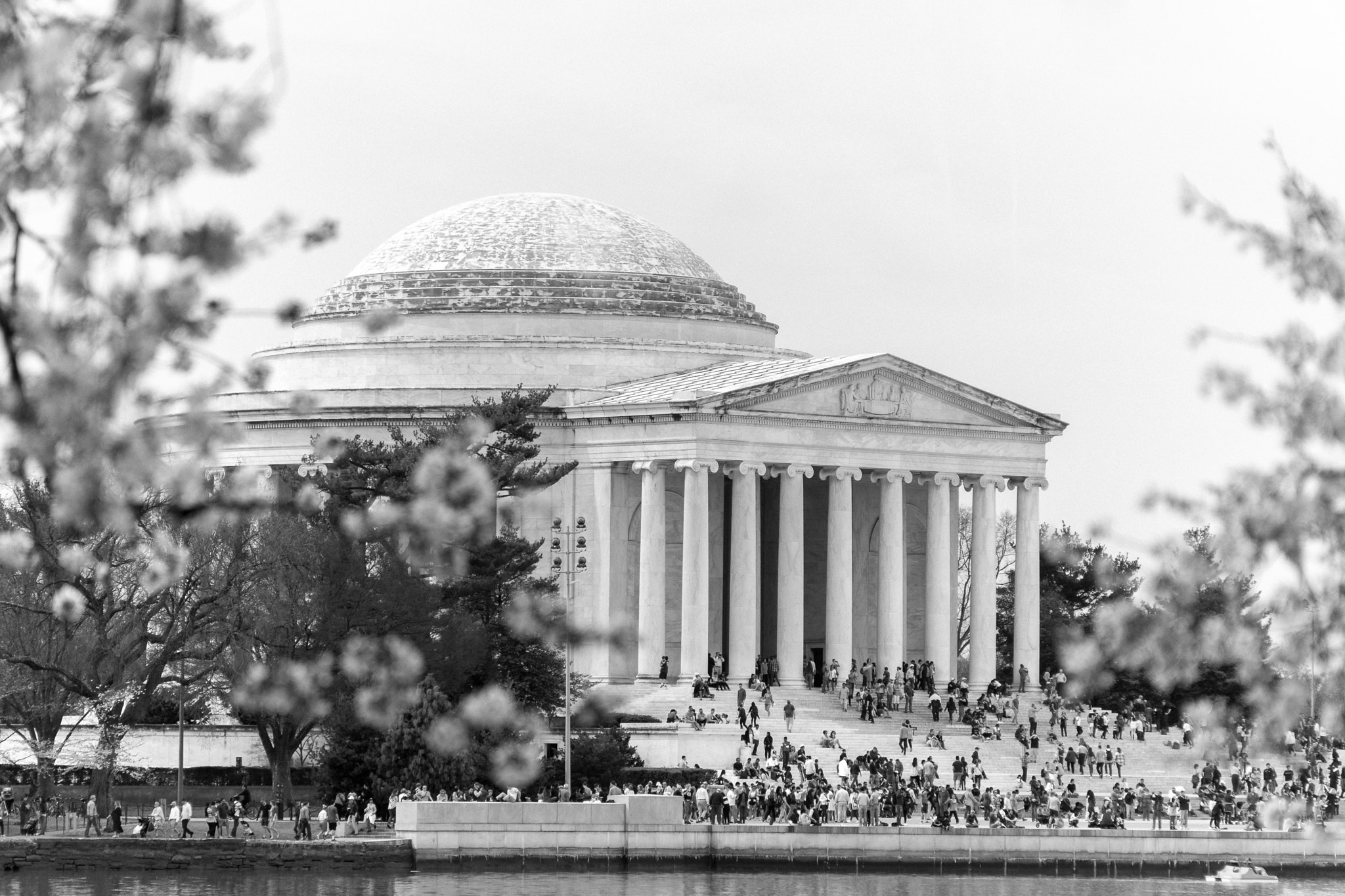 Sony a6500 sample photo. Jefferson memorial in the midst of blossoms  photography