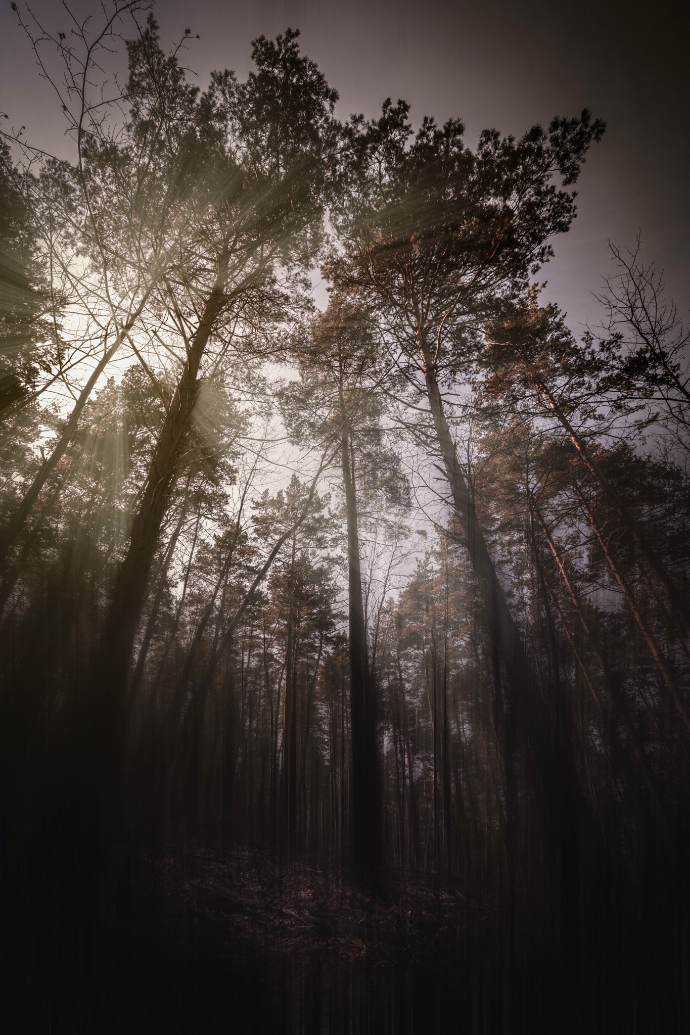 Nikon D7200 sample photo. Darkness  photography