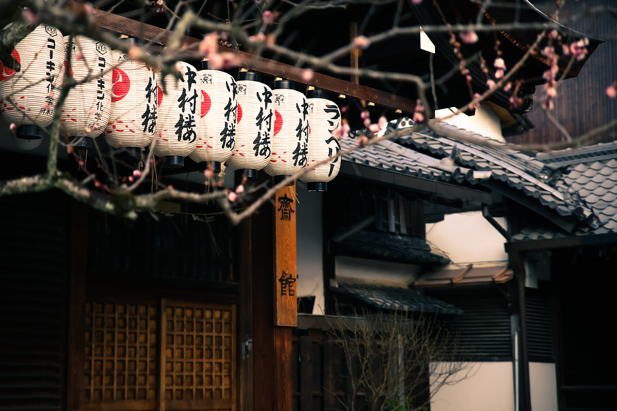 Canon EOS 6D + Sigma 24-70mm F2.8 EX DG Macro sample photo