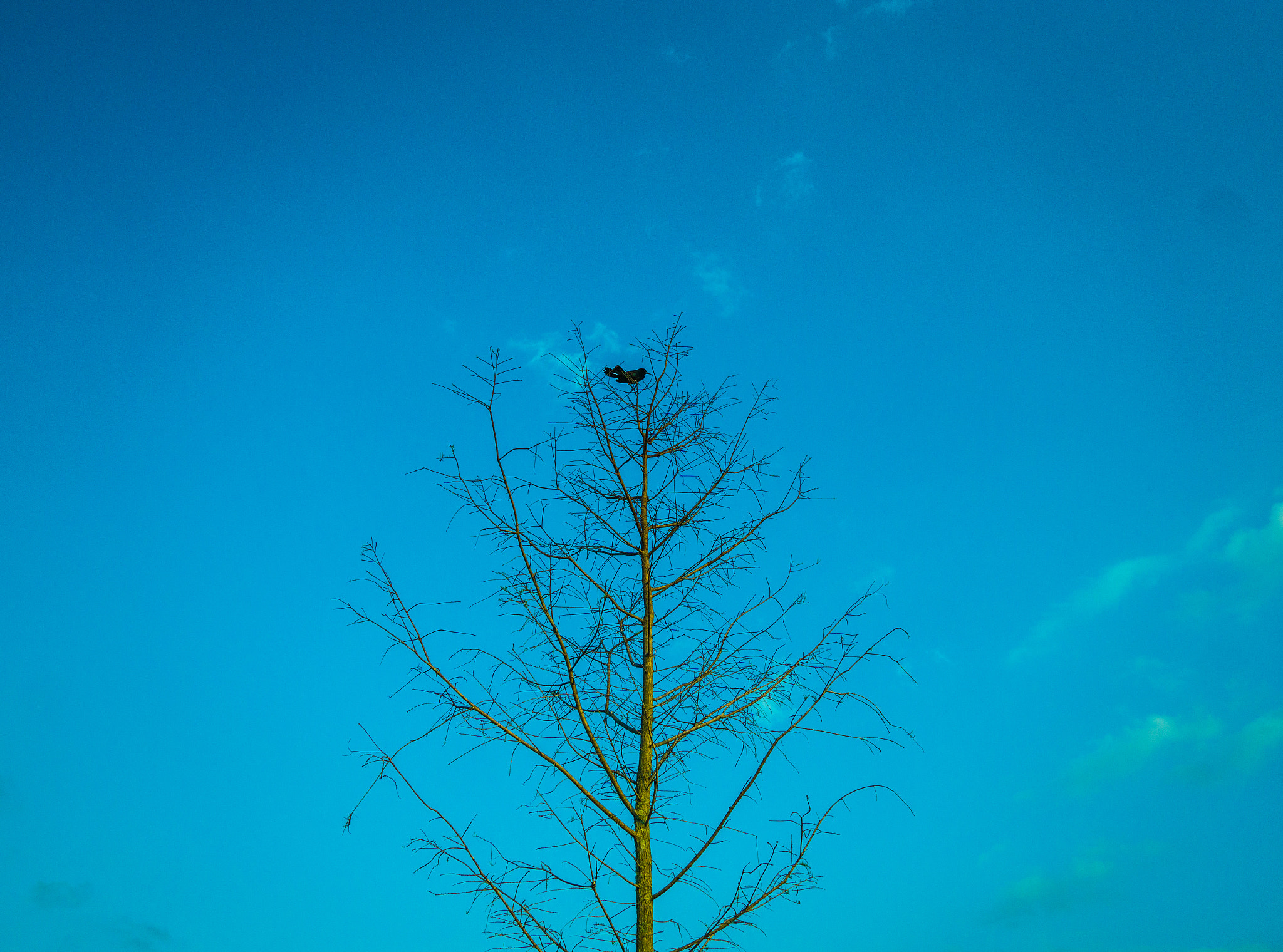 Sony a6000 + Sigma 19mm F2.8 EX DN sample photo. Bird's view photography