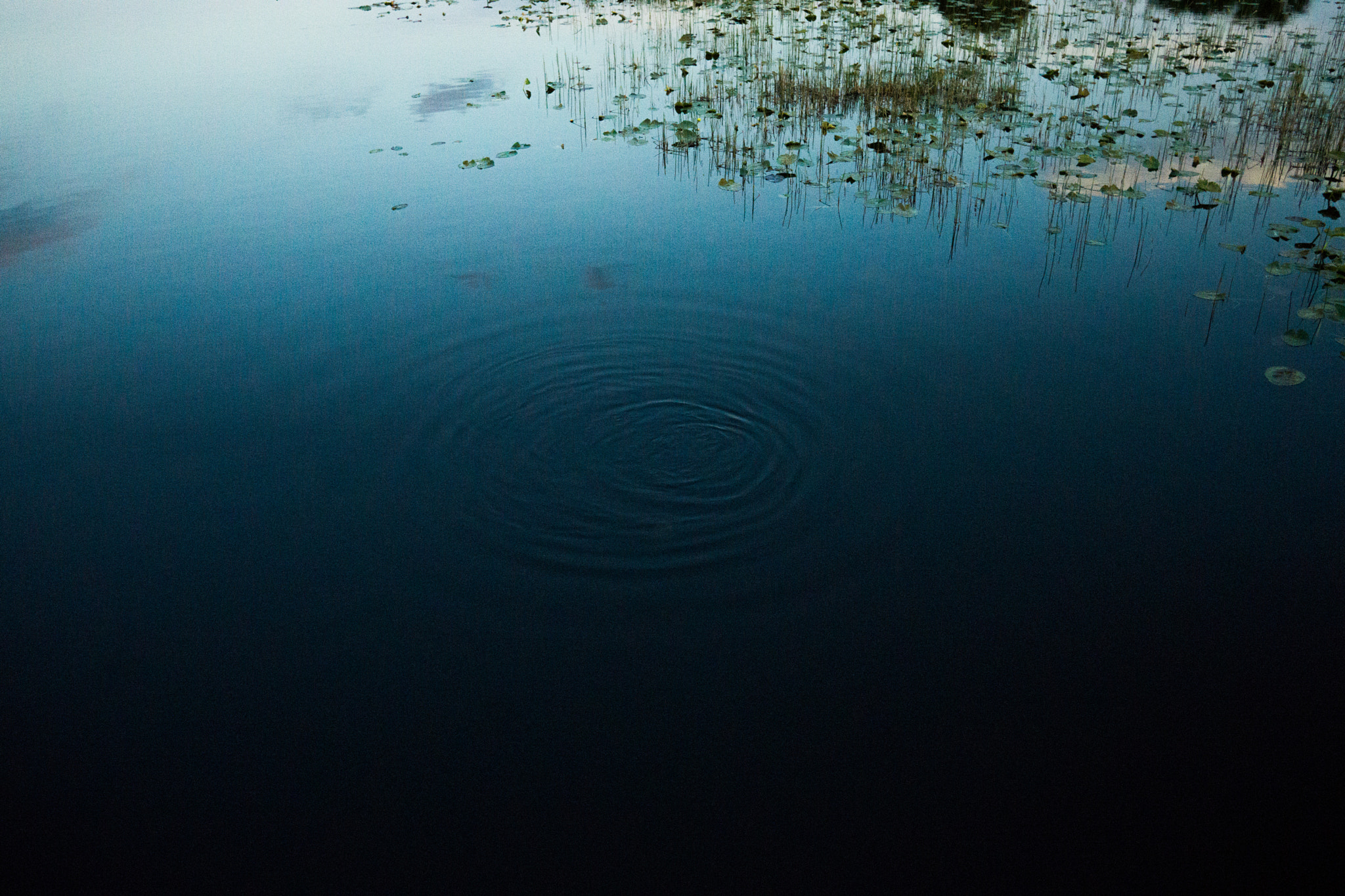 Sony a6000 sample photo. Ripples beneath photography