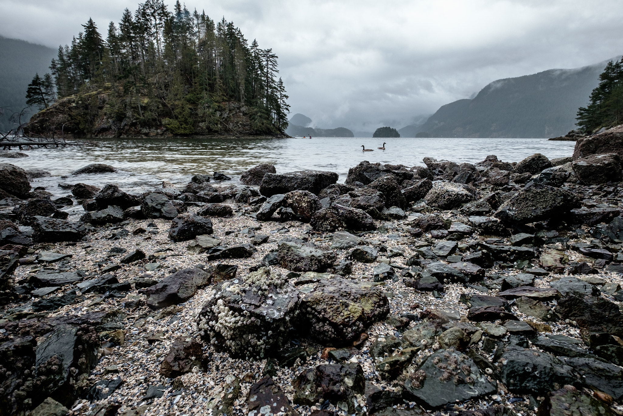 Fujifilm XF 10-24mm F4 R OIS sample photo. Geese and paddlers photography