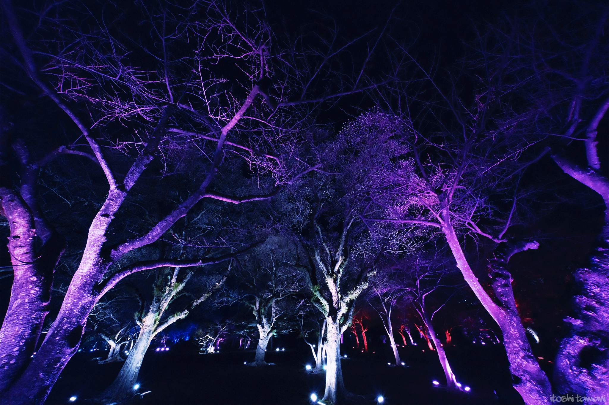 Voigtlander HELIAR-HYPER WIDE 10mm F5.6 sample photo. Tokushima led art festival 2016 / s3 photography