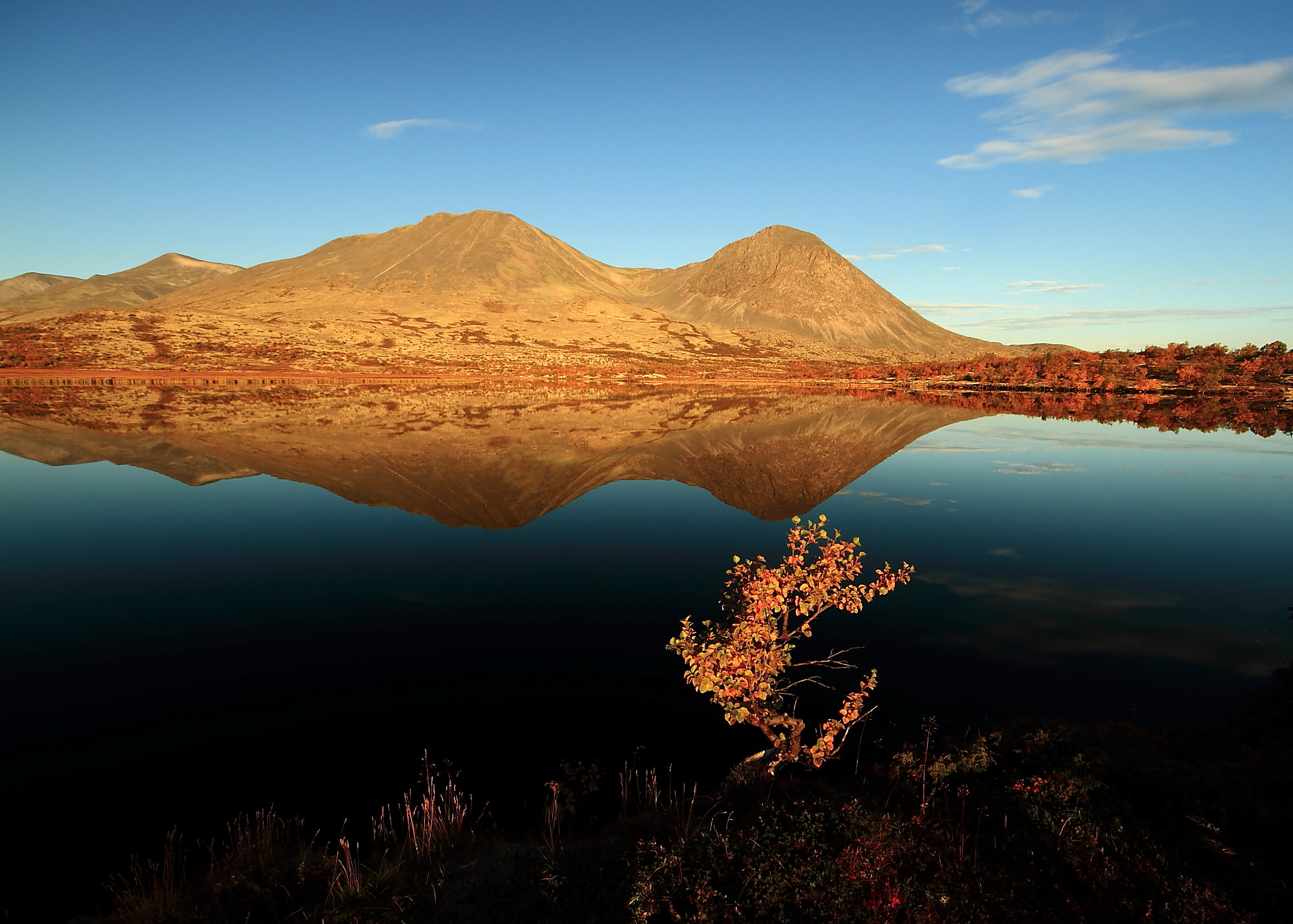 Canon EOS 7D + Sigma 10-20mm F4-5.6 EX DC HSM sample photo. Silent morning photography