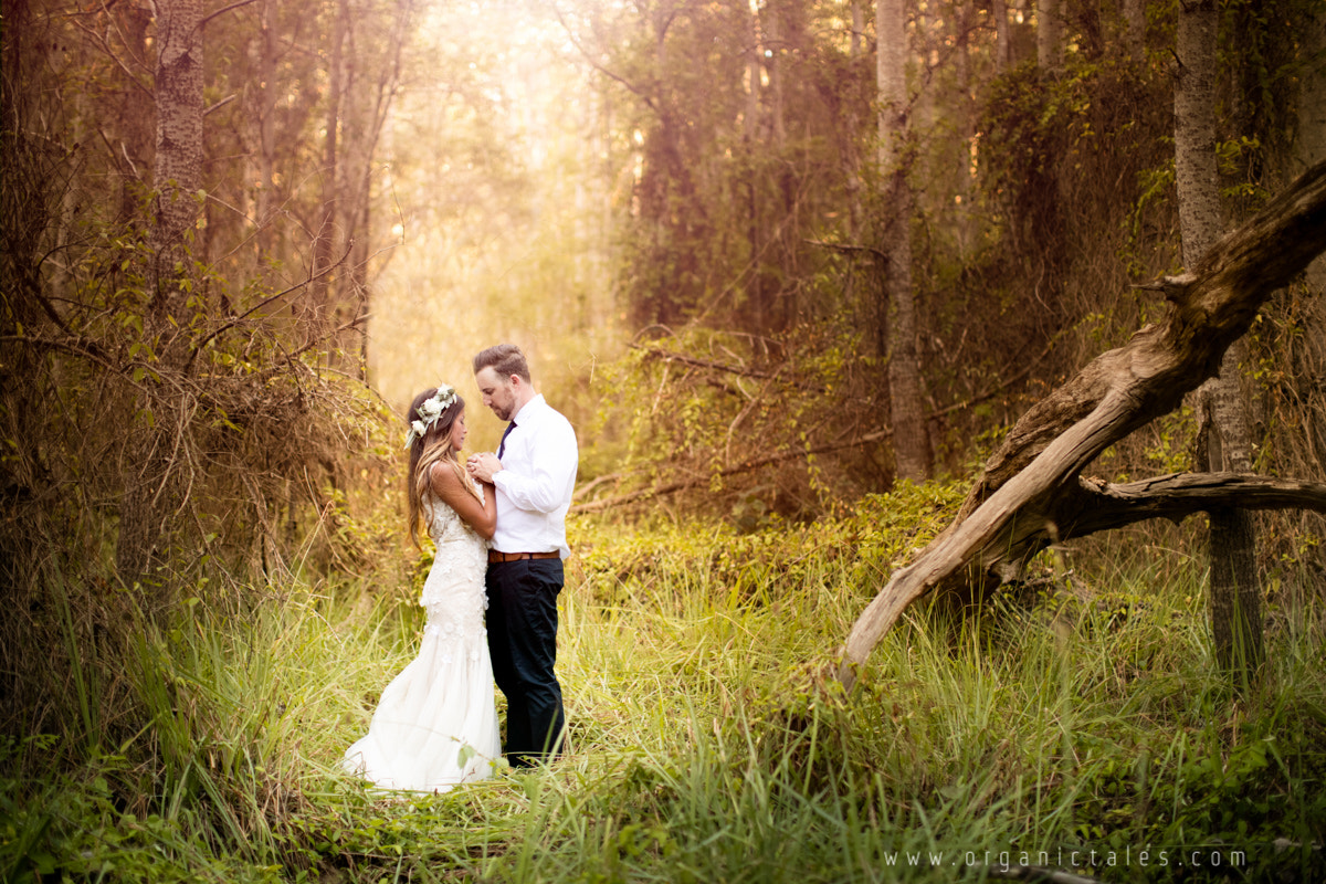 Canon EOS 5DS + Canon EF 50mm F1.2L USM sample photo. Forest nuptials photography