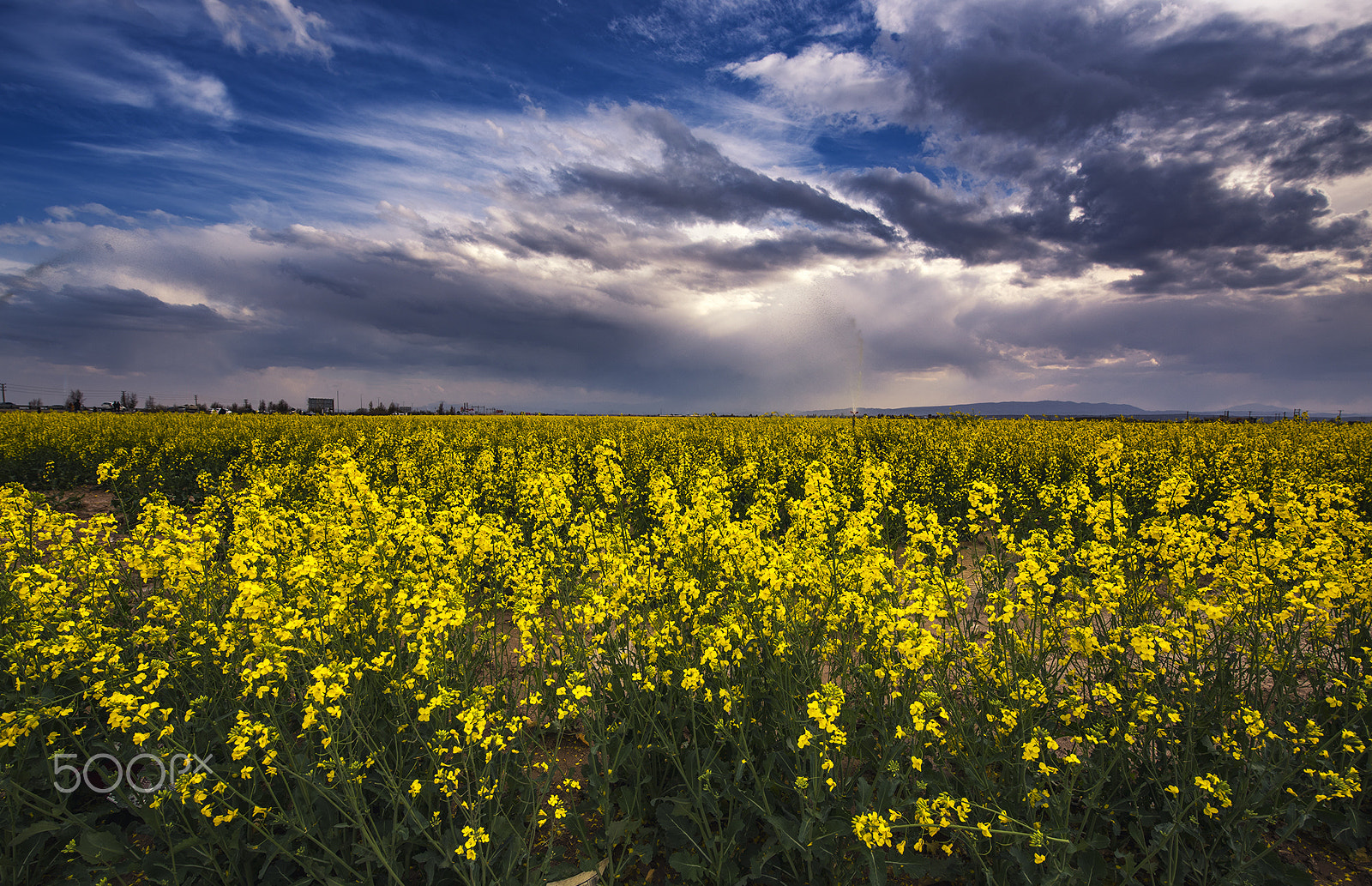 Nikon D810 + Tamron SP 15-30mm F2.8 Di VC USD sample photo. Spring photography