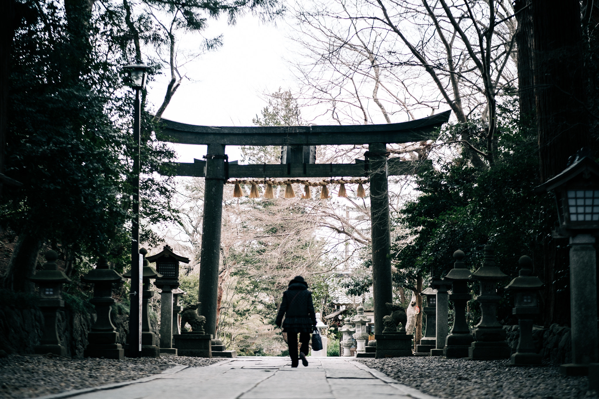 Fujifilm X-T2 + Fujifilm XF 56mm F1.2 R APD sample photo. Silence. photography