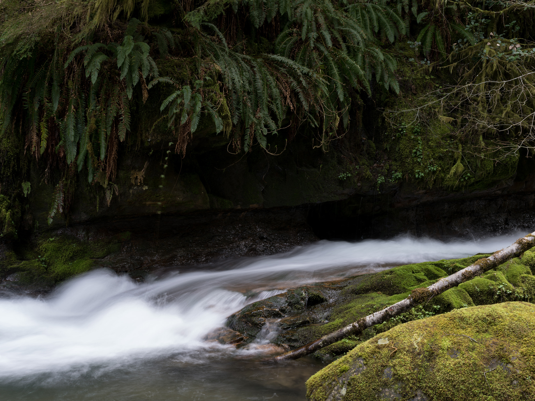 Pentax 645Z sample photo. Squaw creek, rogue river-siskiyou national forest photography